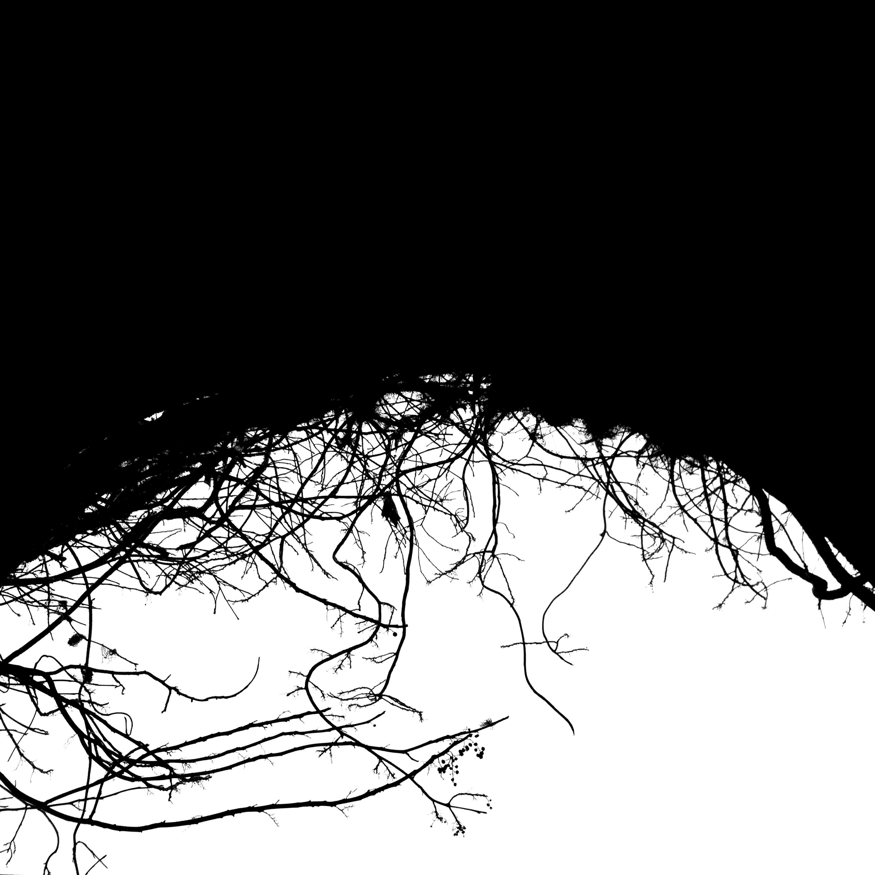 Релиз Variable Dimensions