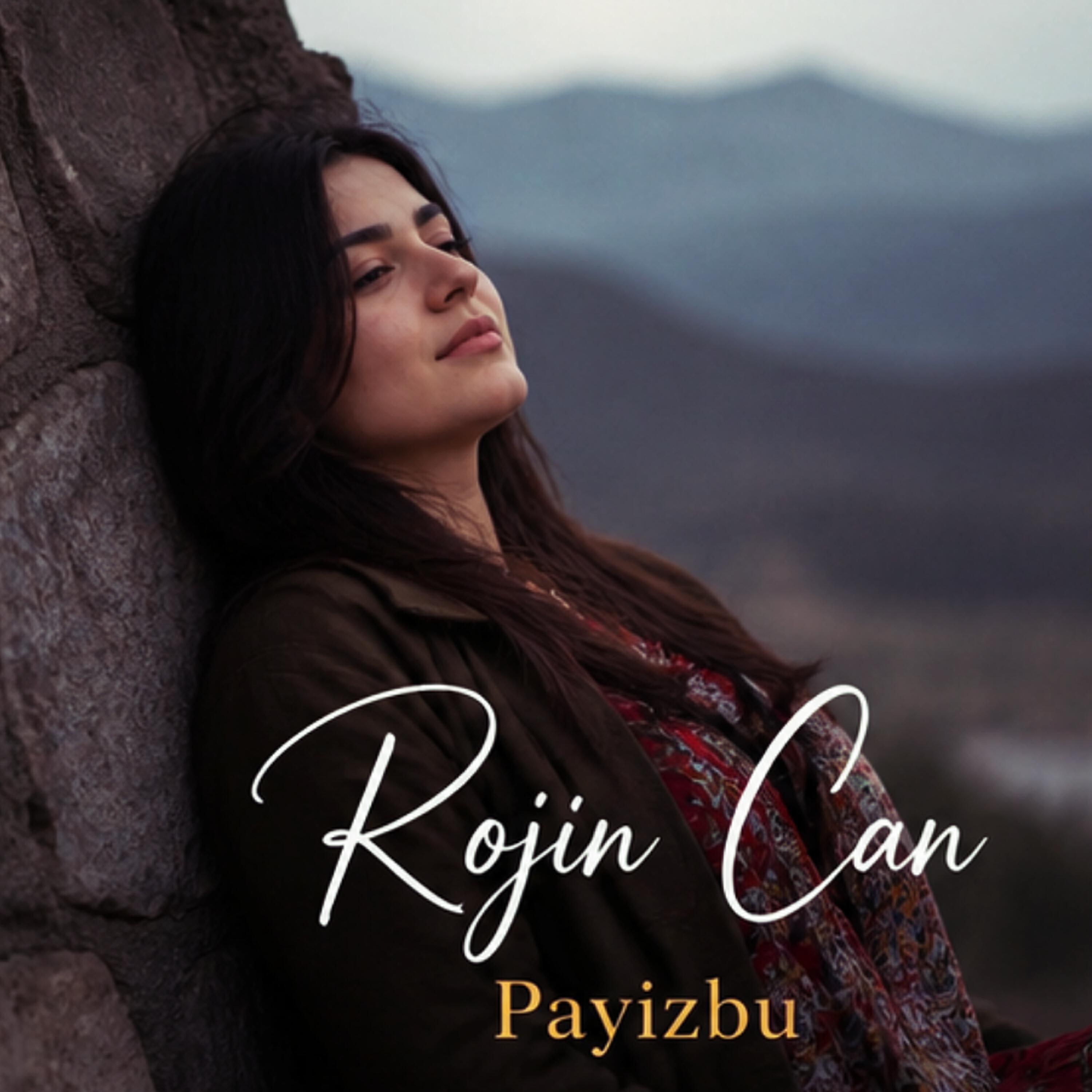 Релиз Payizbu