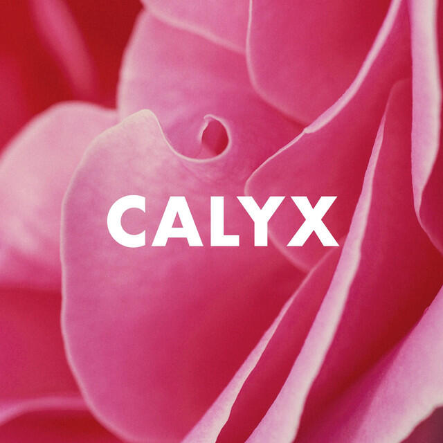 Релиз Calyx