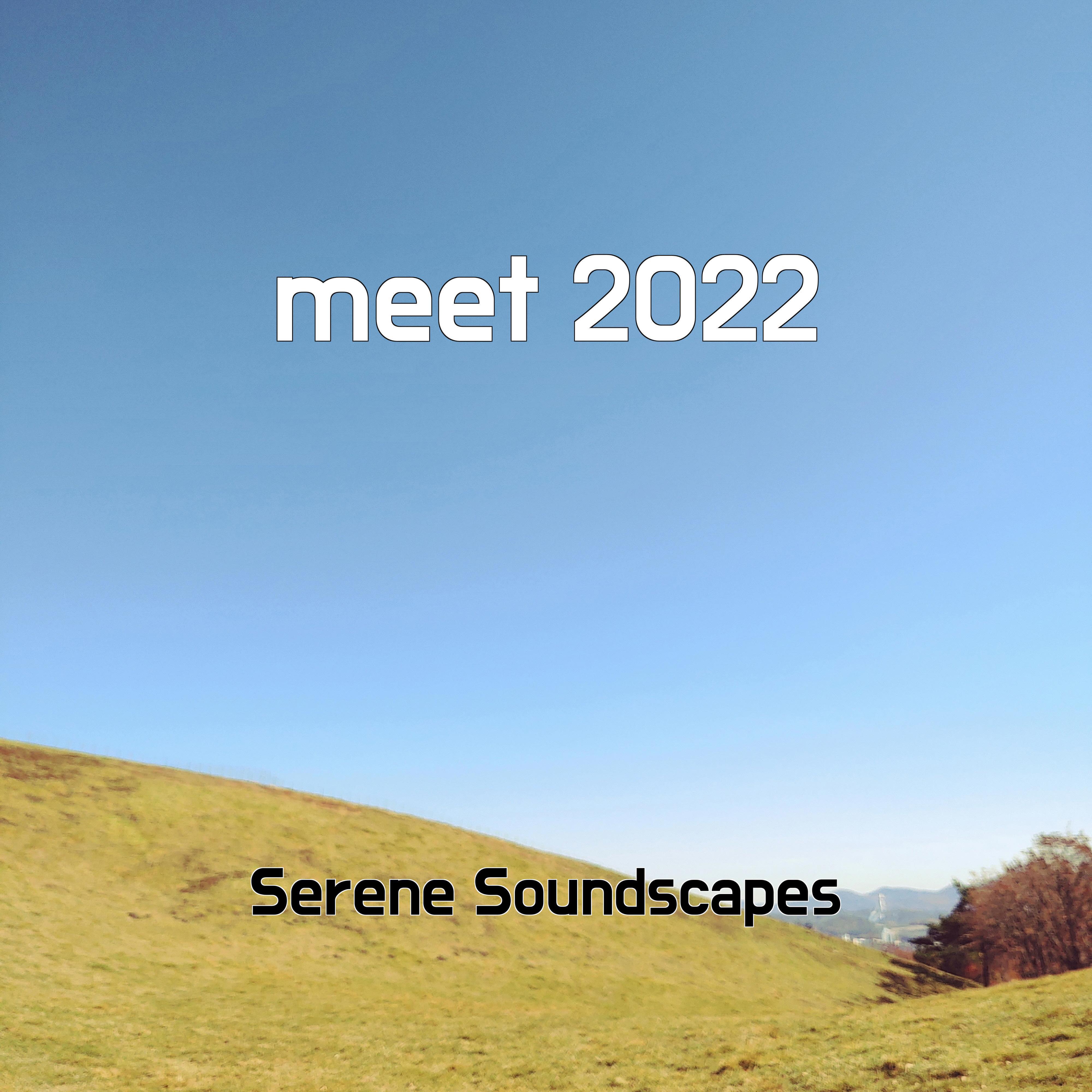 Релиз meet 2022