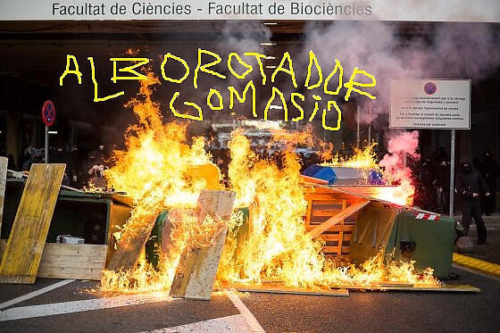 Alborotador Gomasio
