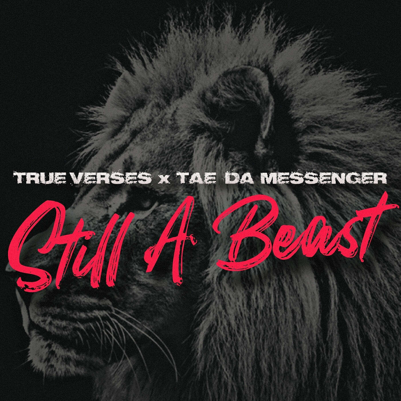 Релиз Still a Beast