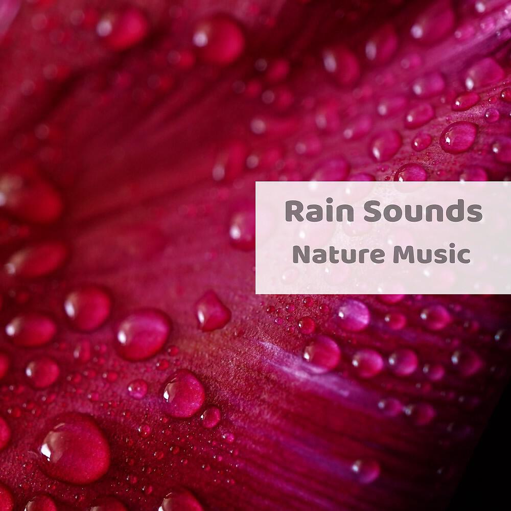 Релиз Nature Music