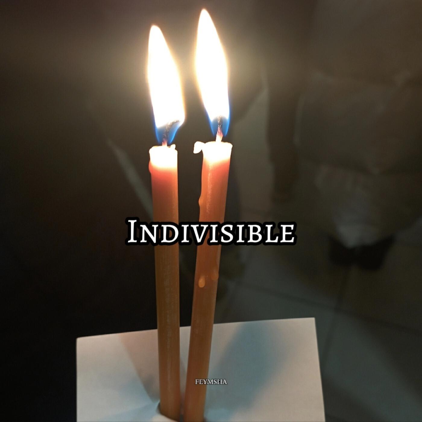 Постер альбома Indivisible