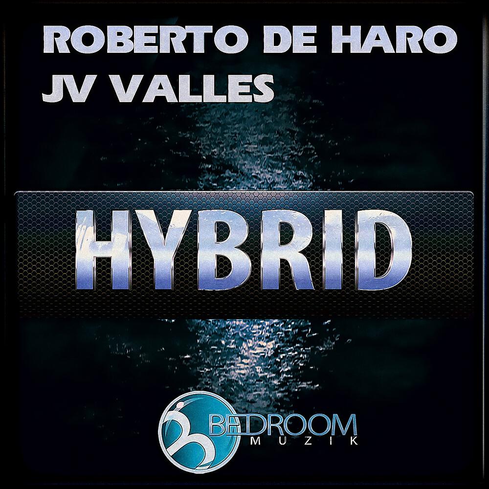 JV Valles