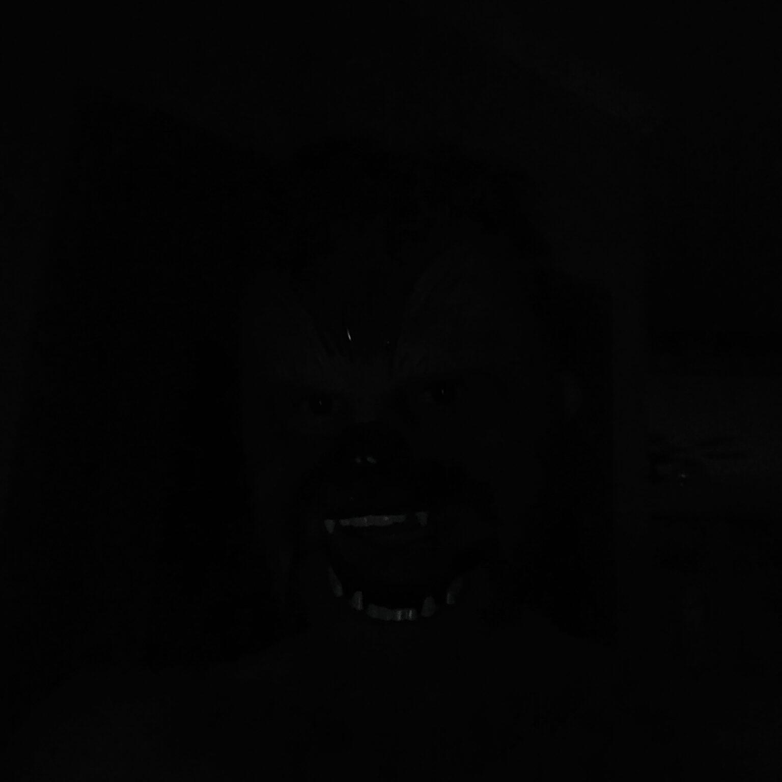 Релиз The Boy Is Afraid of Metal