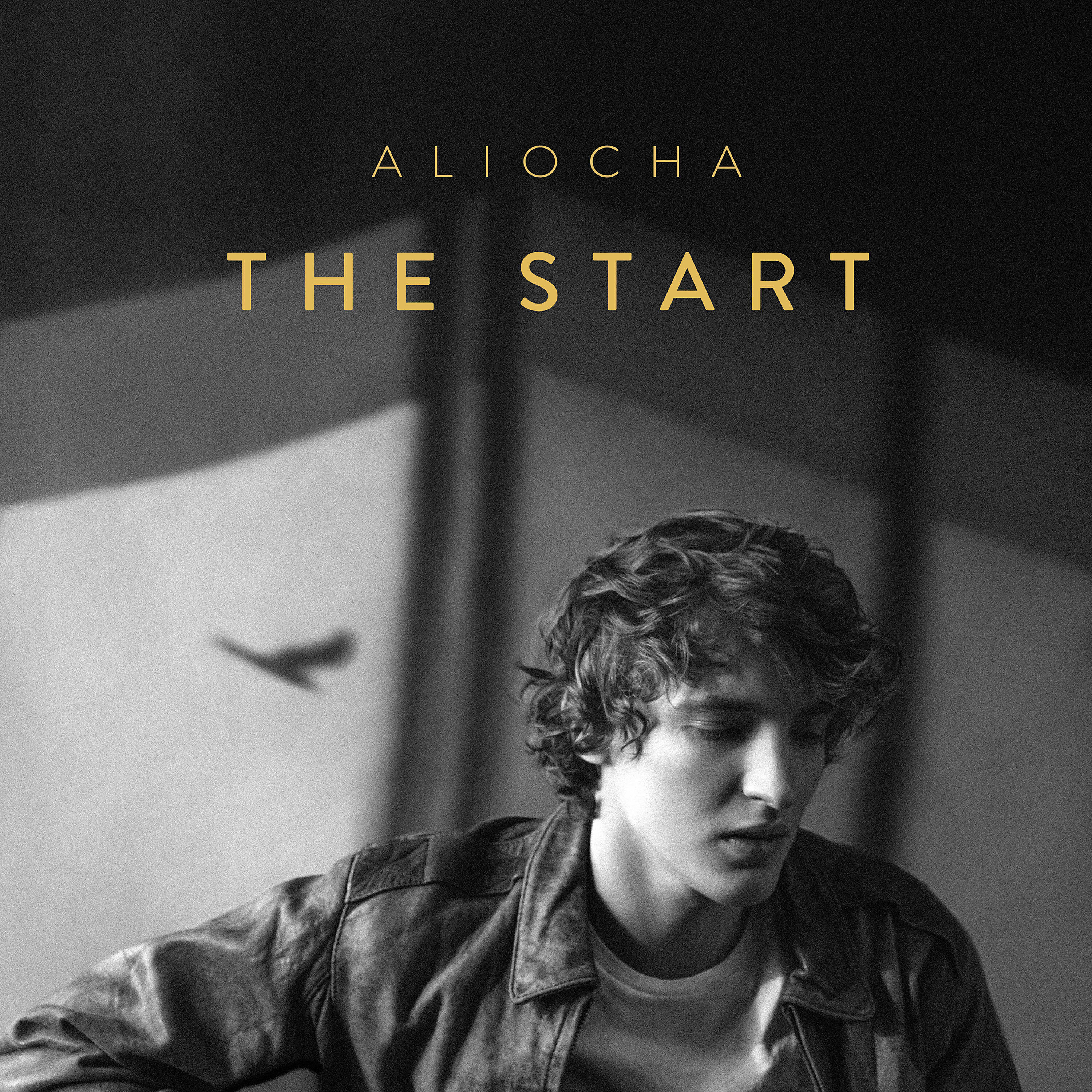Релиз The Start
