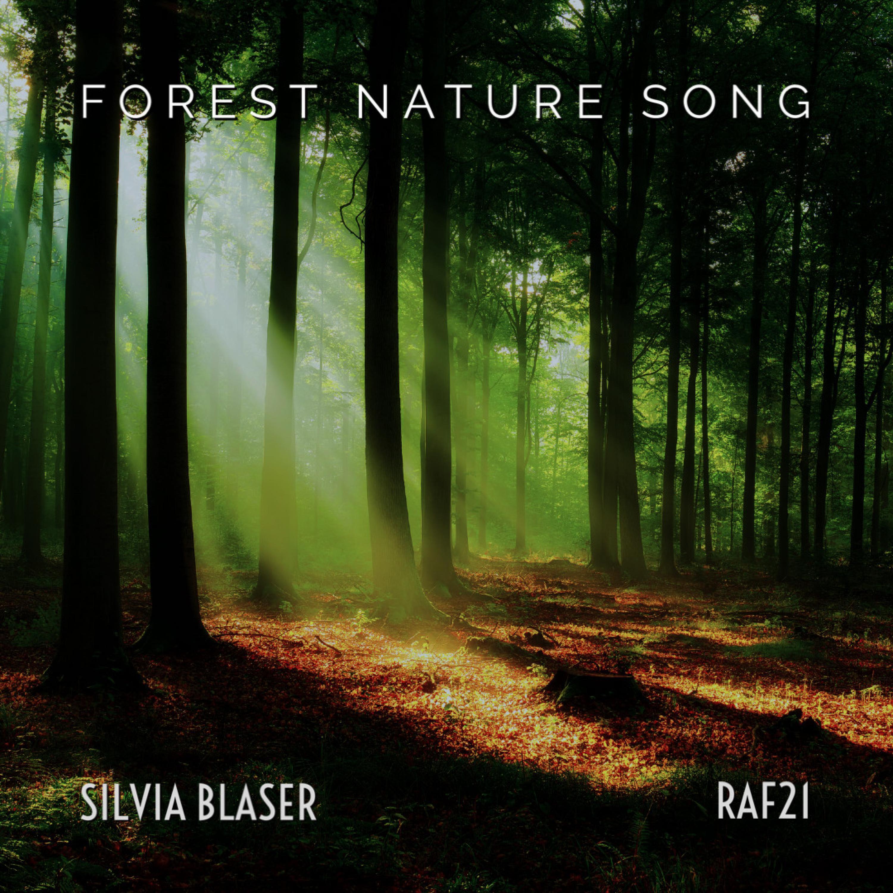 Релиз Forest Nature Song