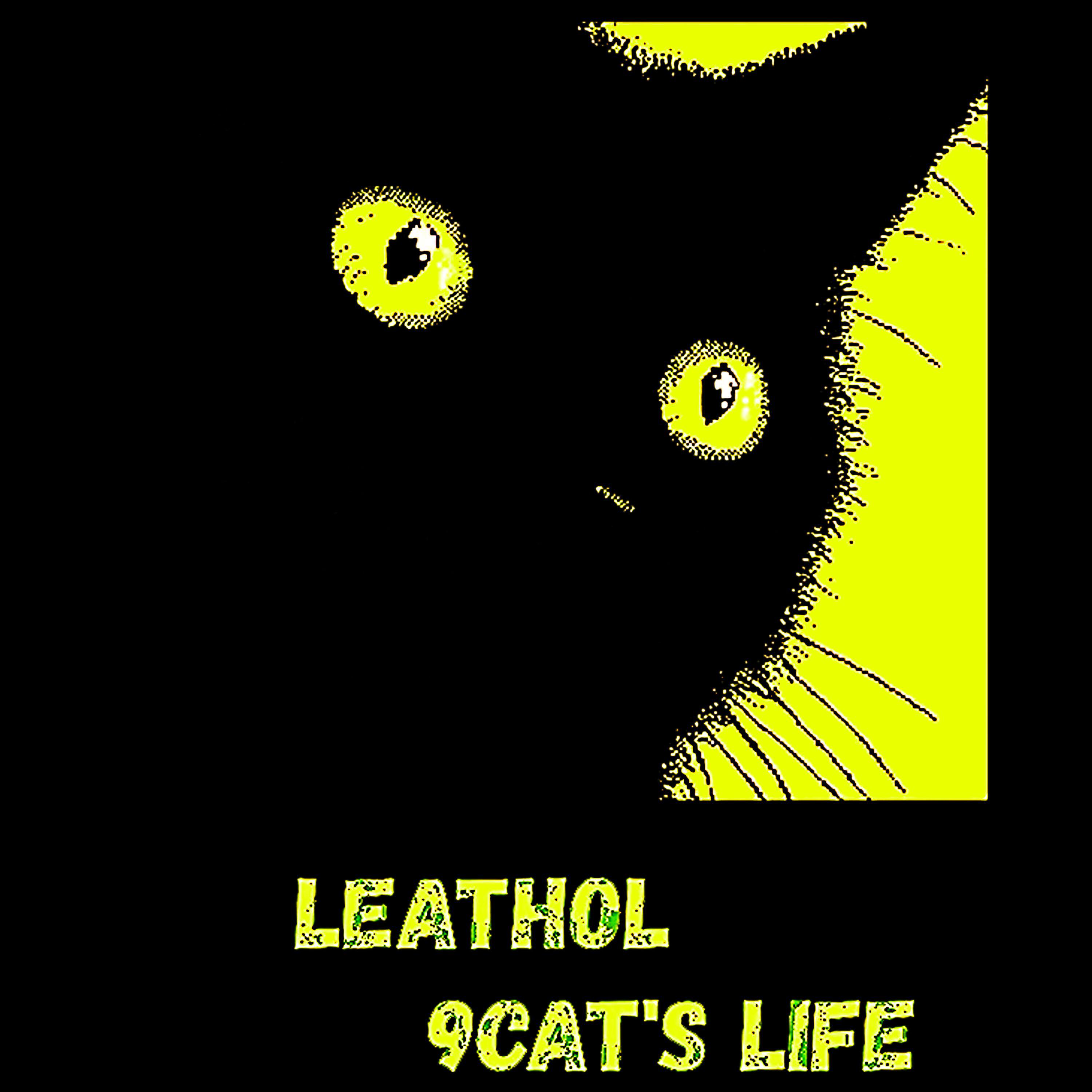 Релиз 9Cat's Life