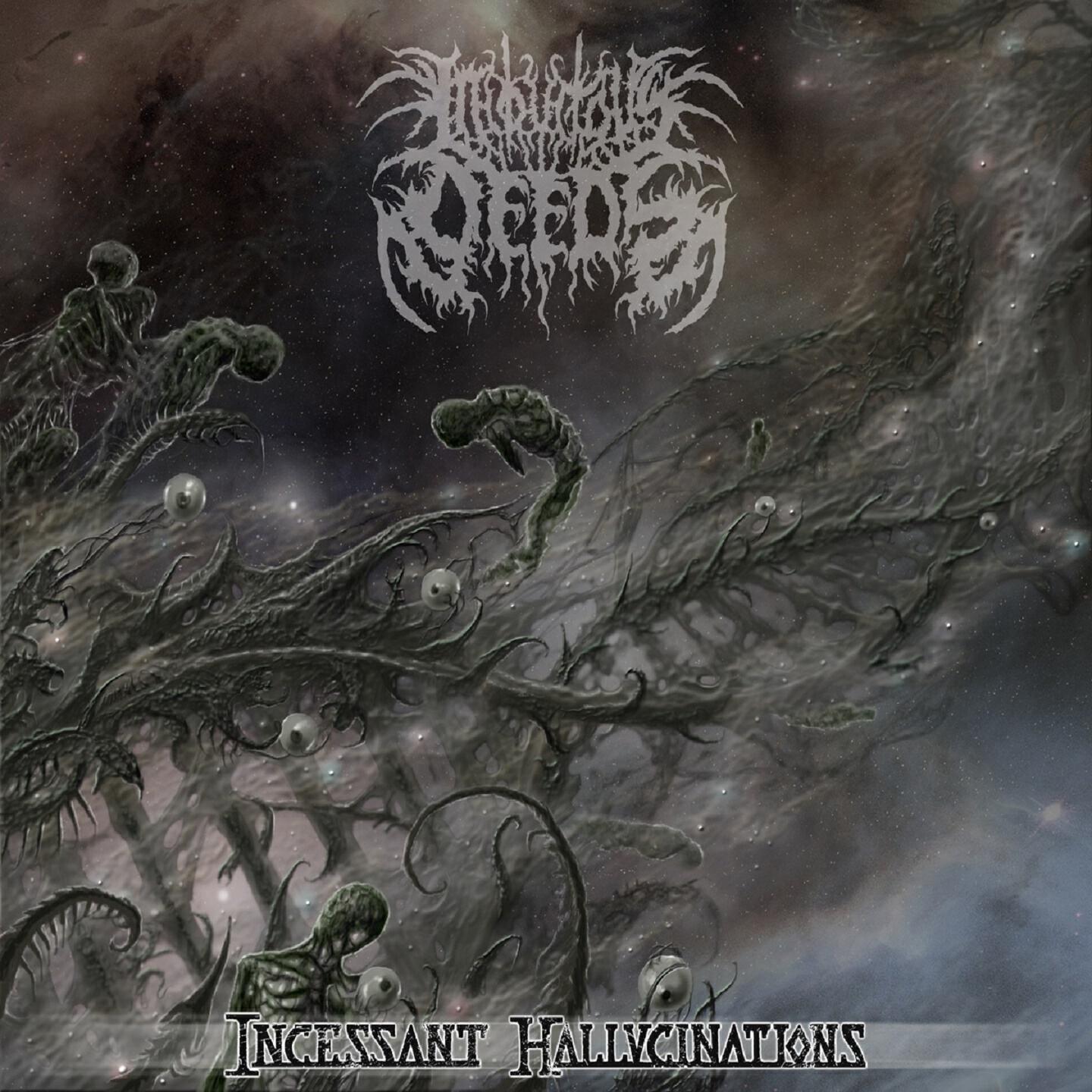 Постер альбома Incessant Hallucinations
