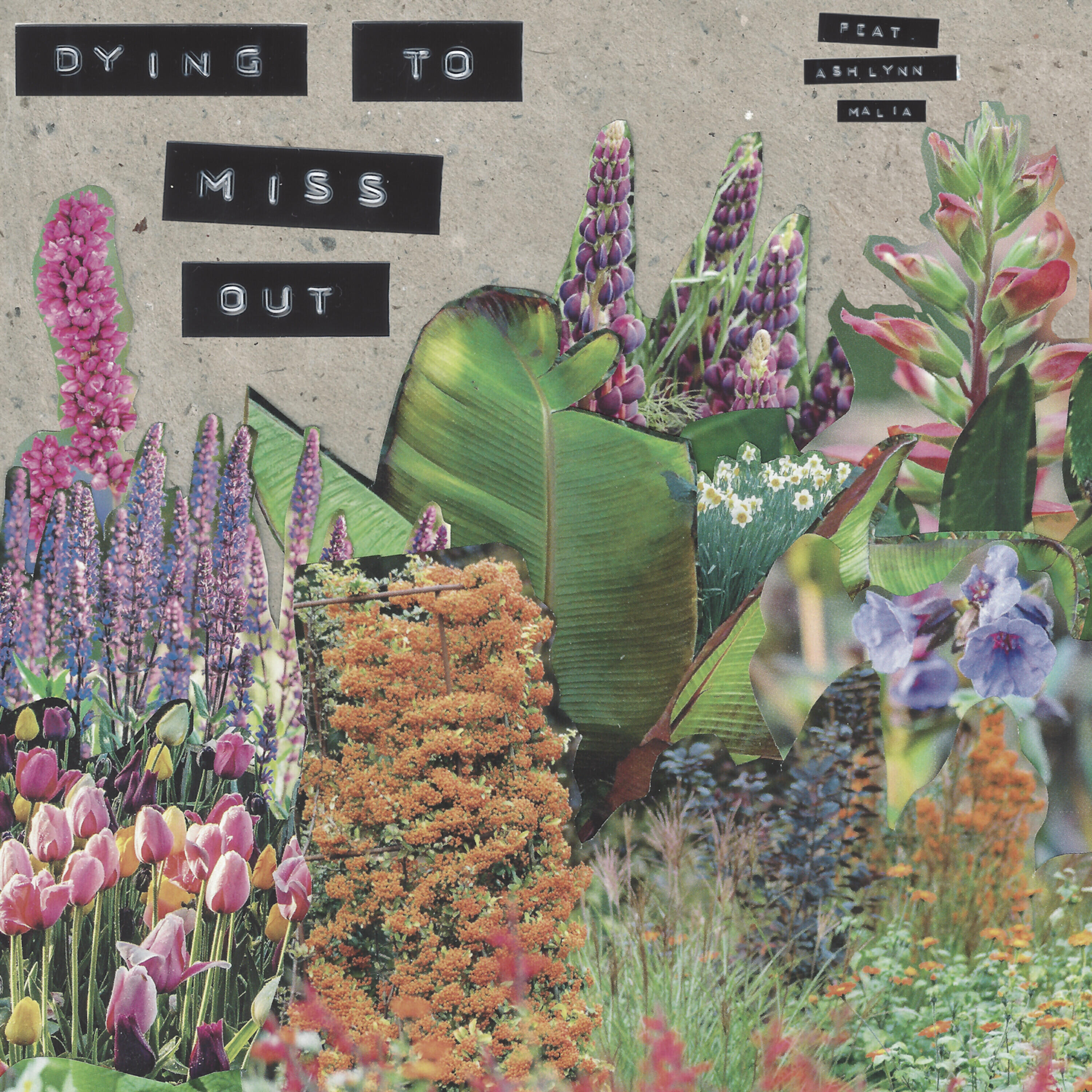 Релиз Dying To Miss Out (feat. Ashlynn Malia)