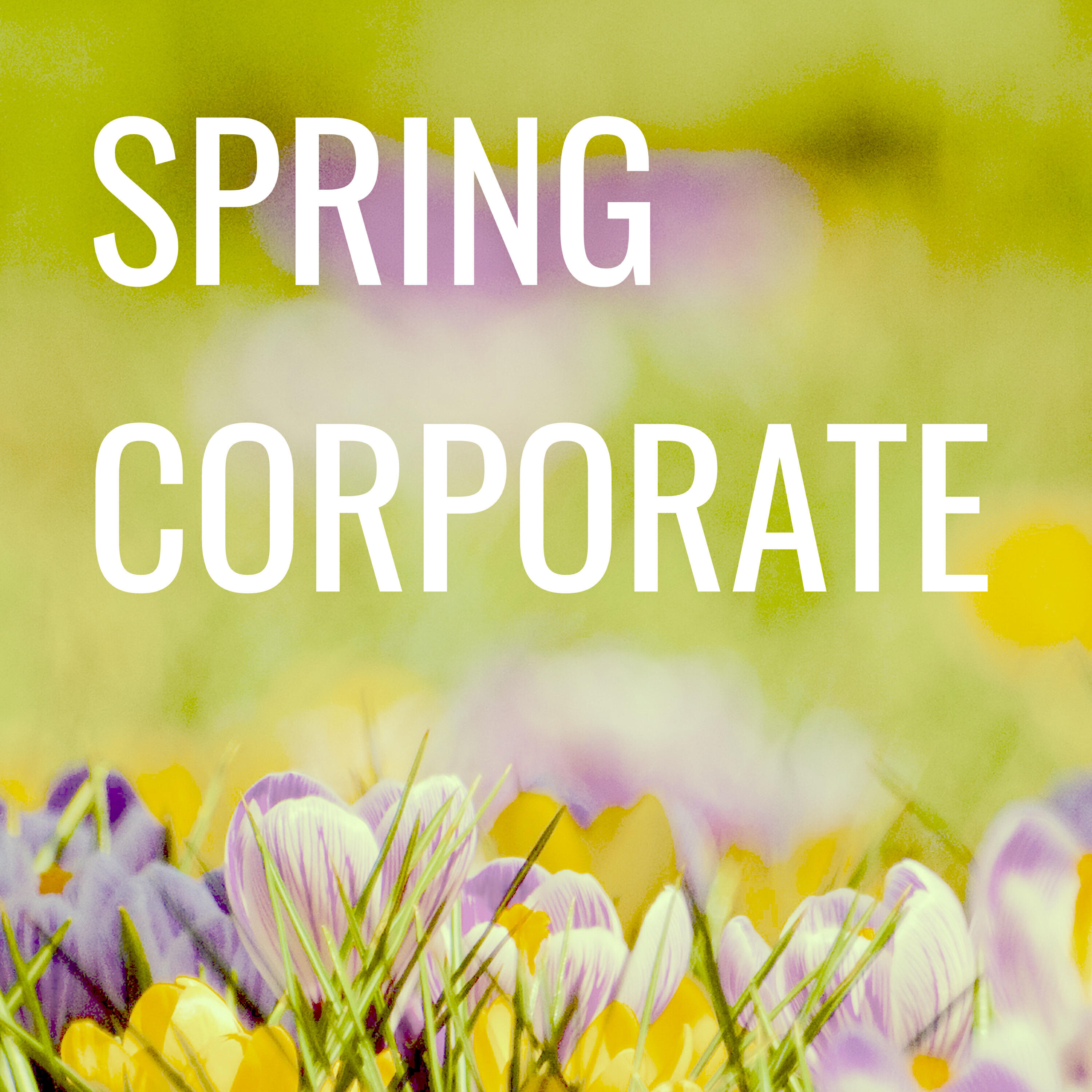 Релиз Spring Corporate