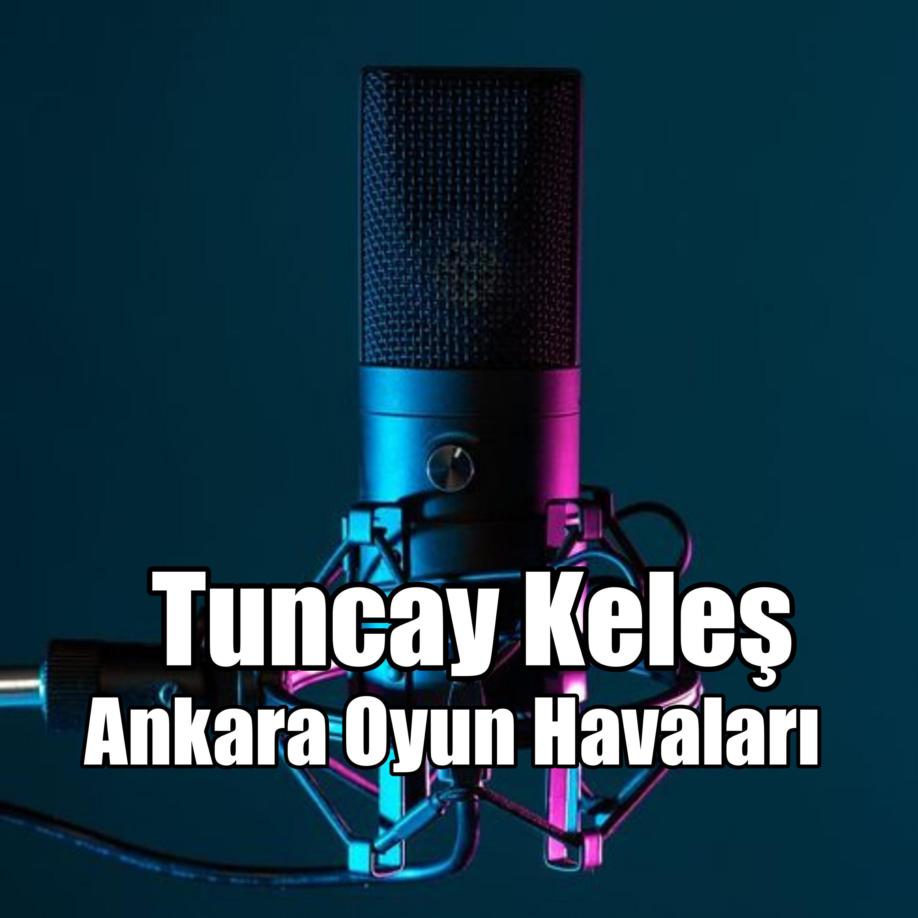 Релиз Ankara Oyun Havaları