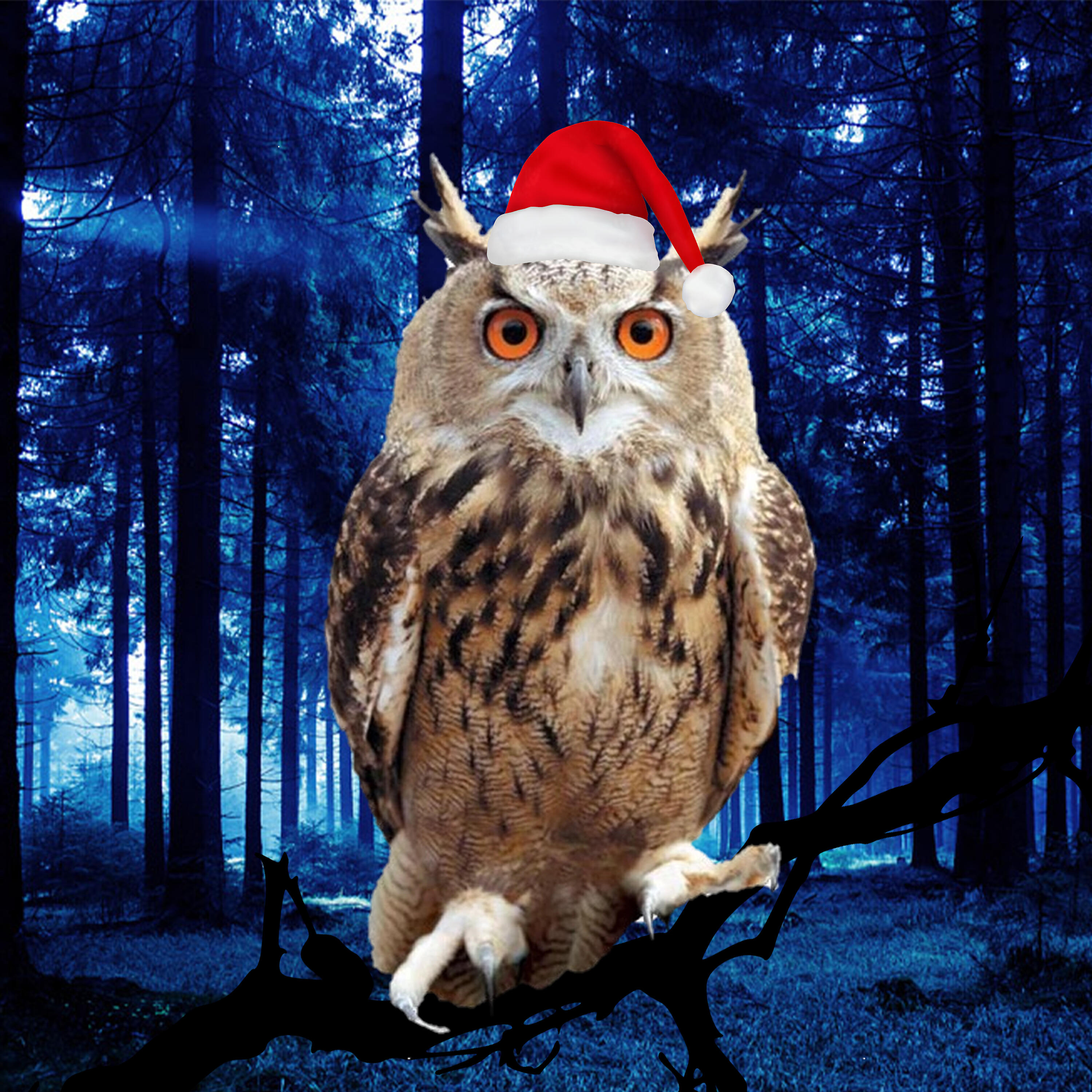 DeedMoroz