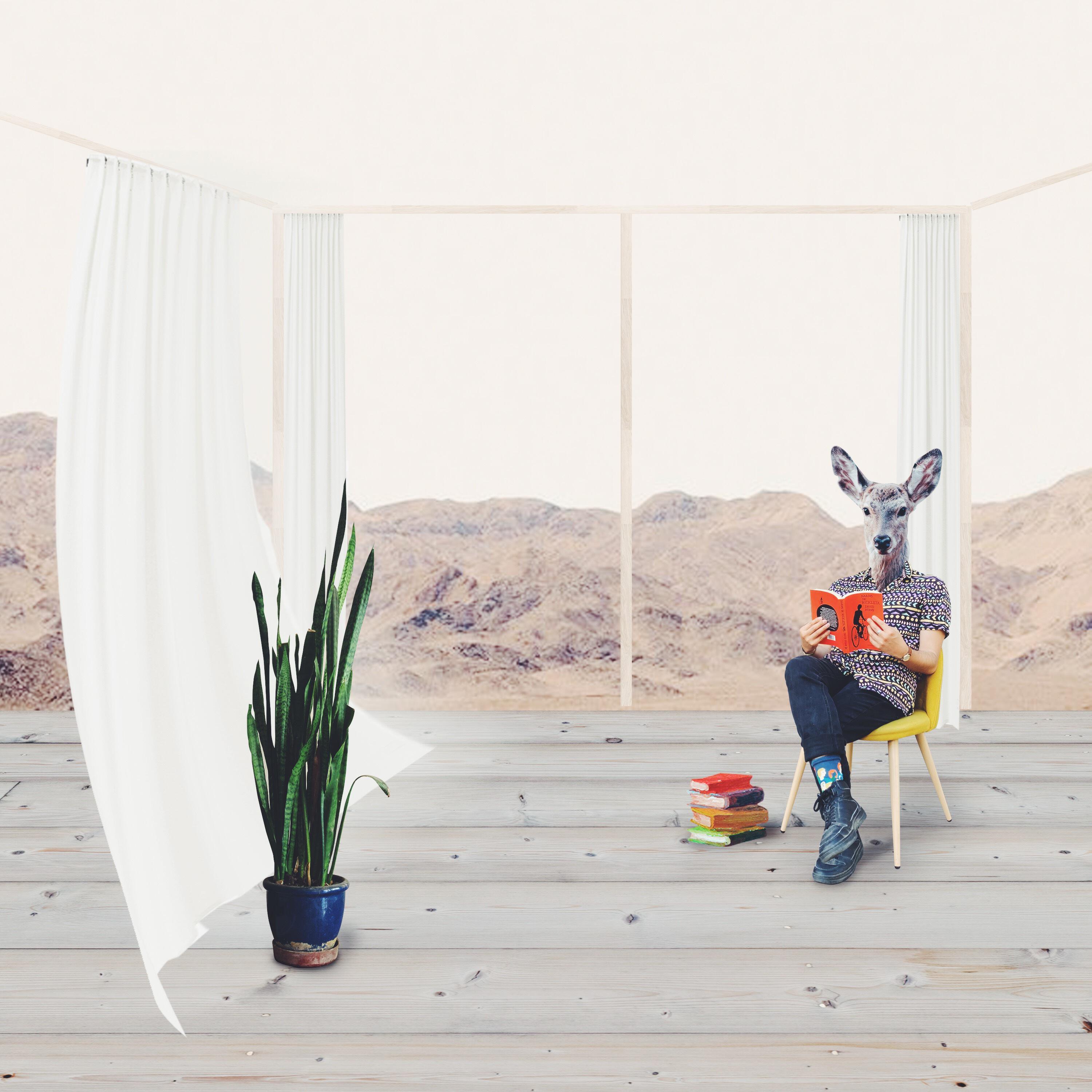 Релиз Pequeño Animalito