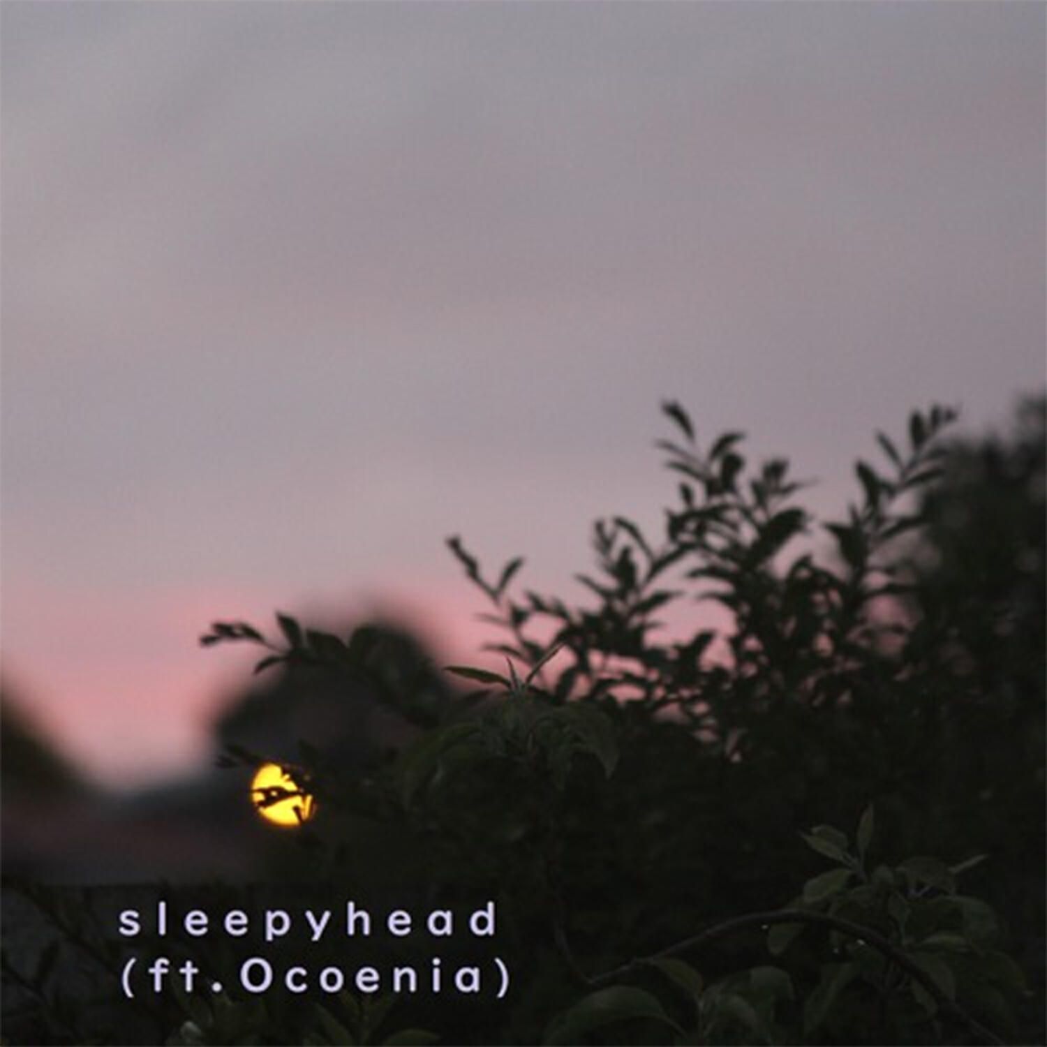 Релиз sleepyhead