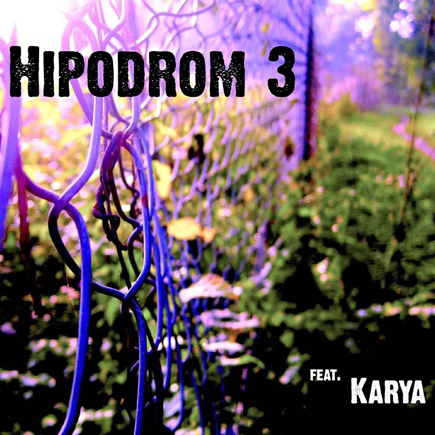 Hipodrom Jindřicha Parmy