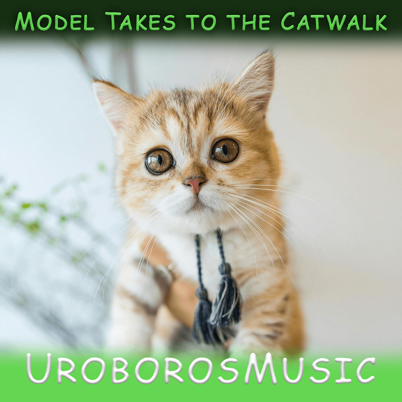 Релиз Model Takes to the Catwalk