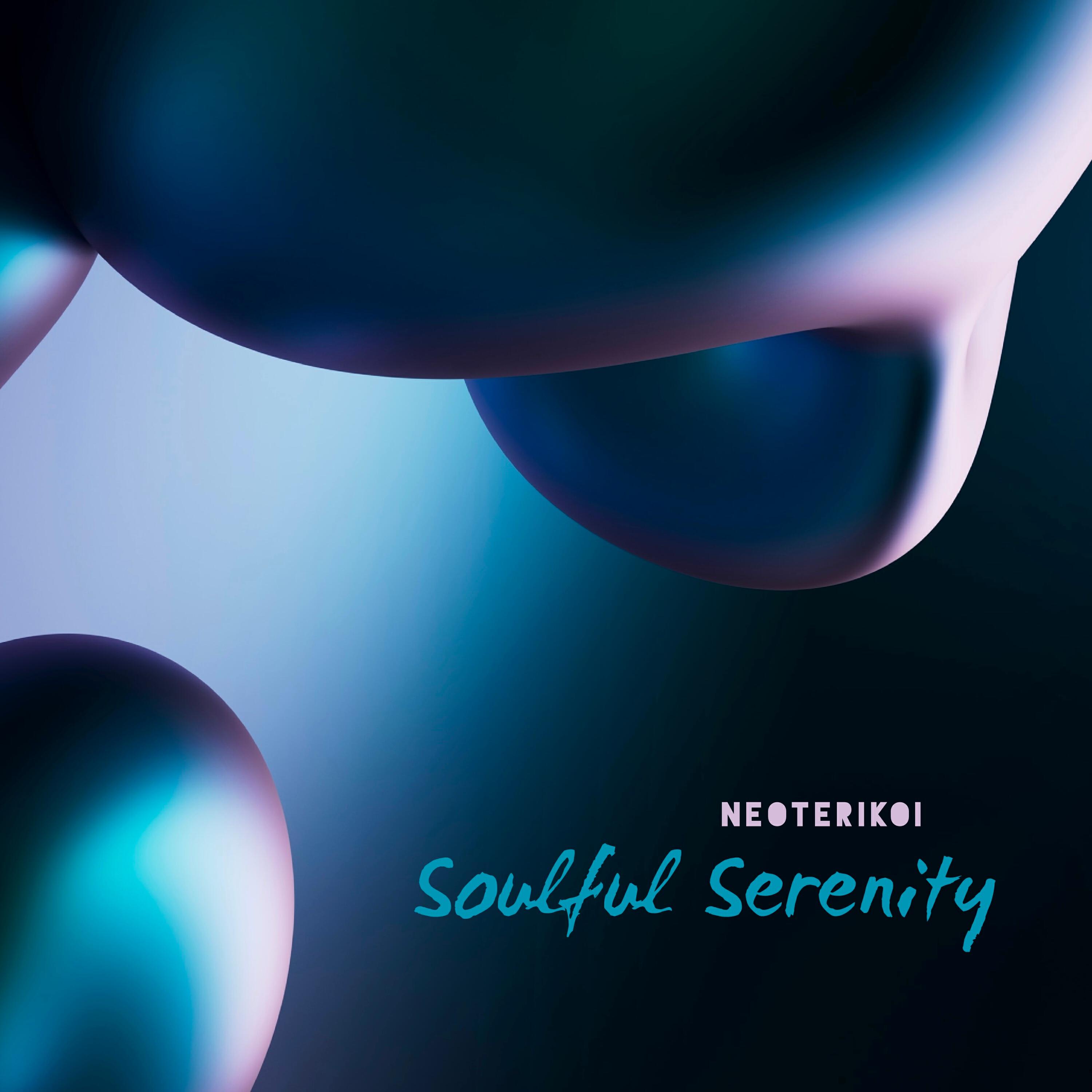 Релиз Soulful Serenity