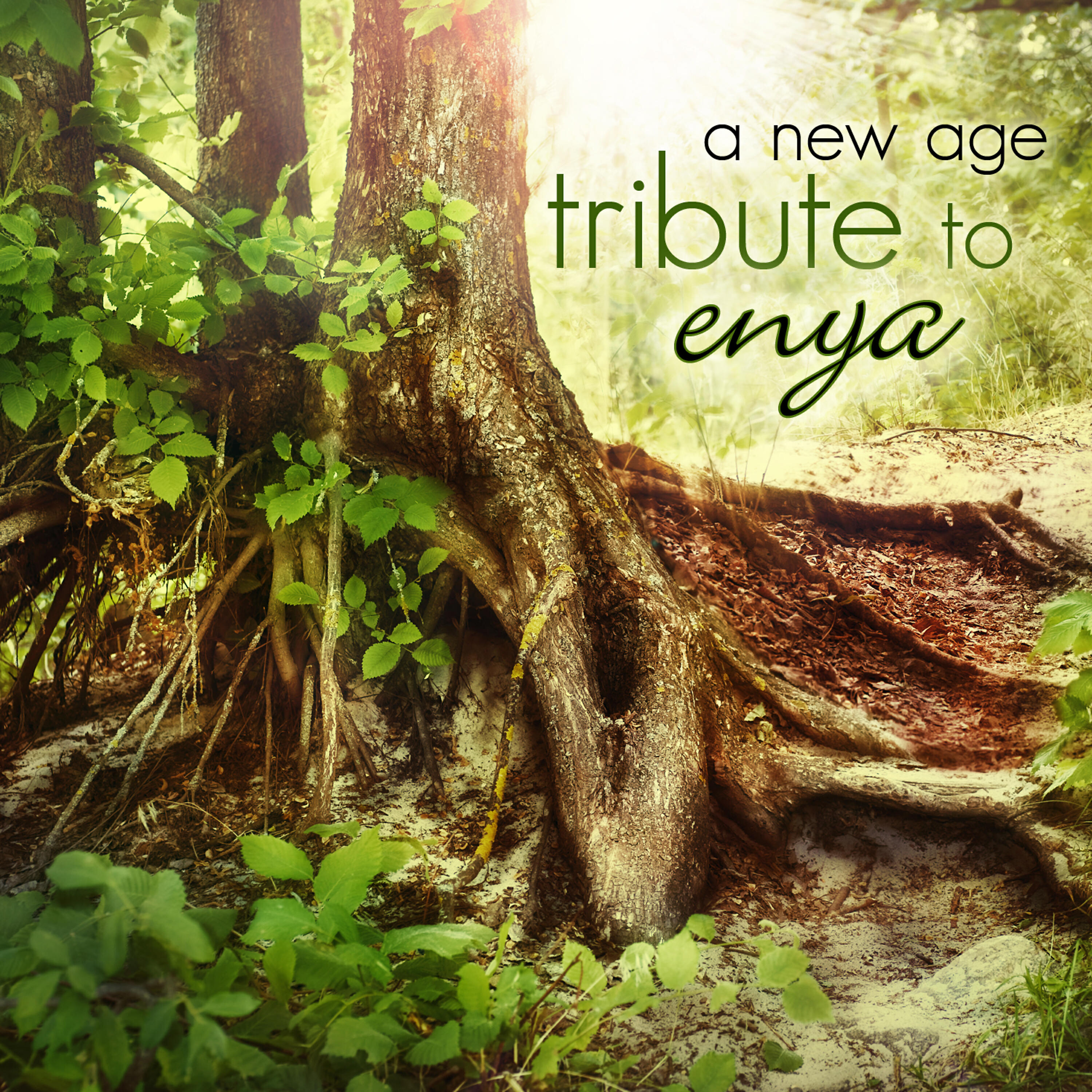 Релиз A New Age Tribute to Enya