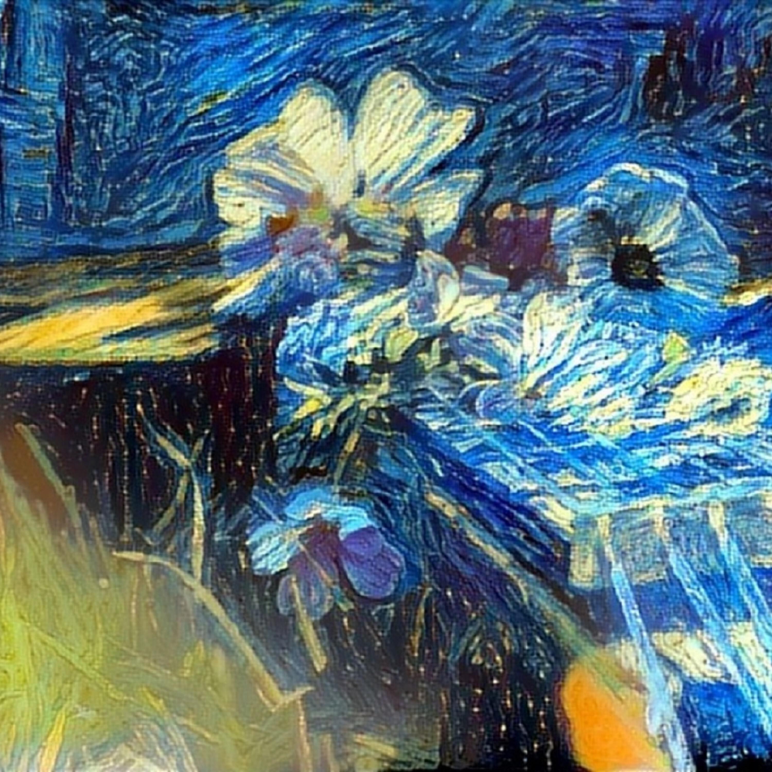 Релиз 城南花已开