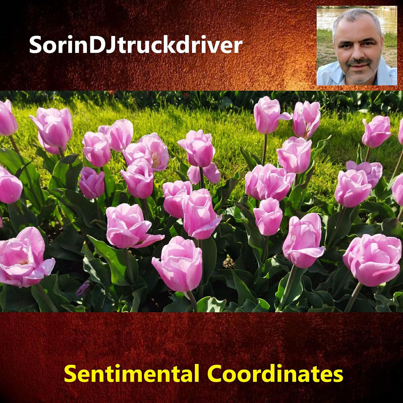 Релиз Sentimental Coordinates
