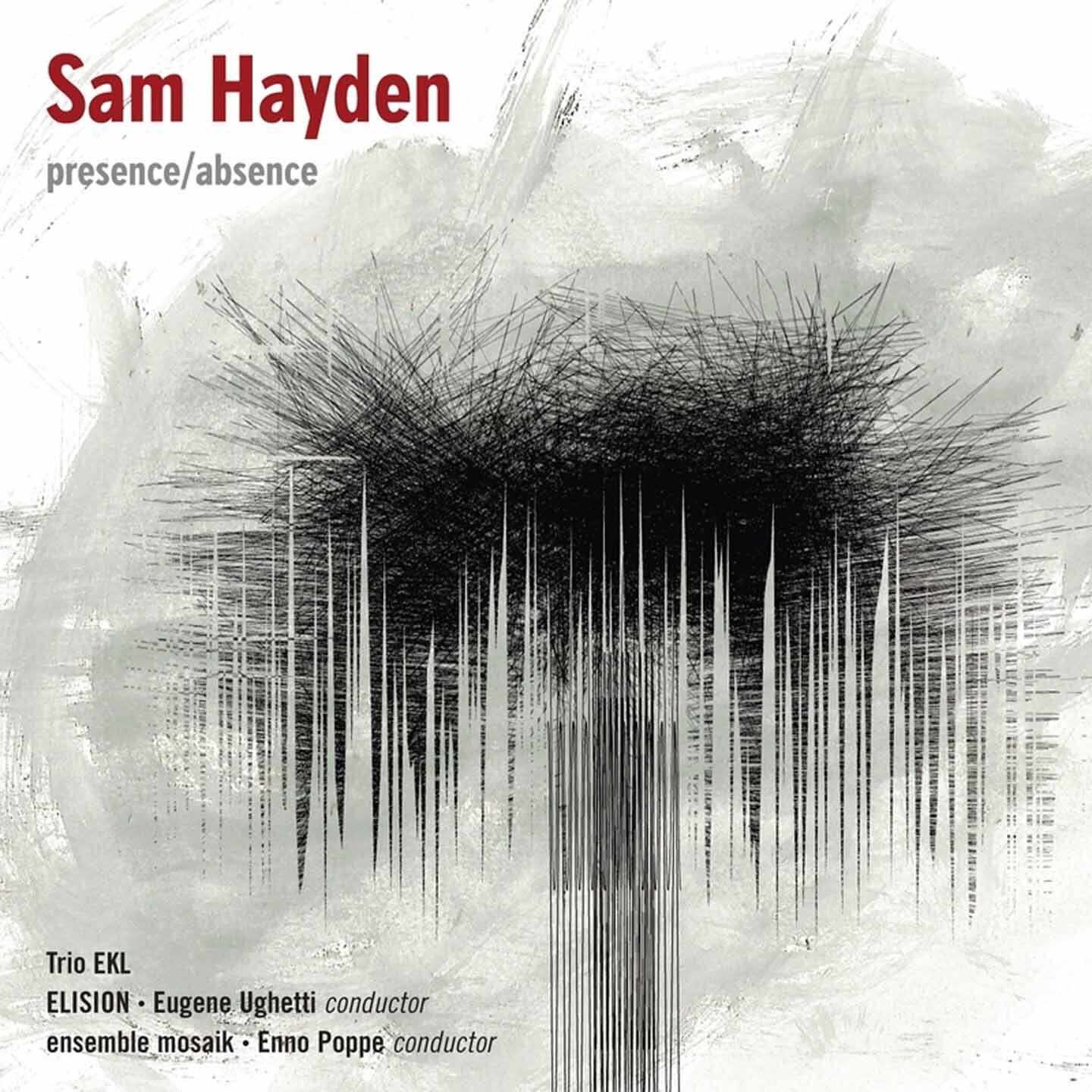 Релиз Sam Hayden: Presence/Absence
