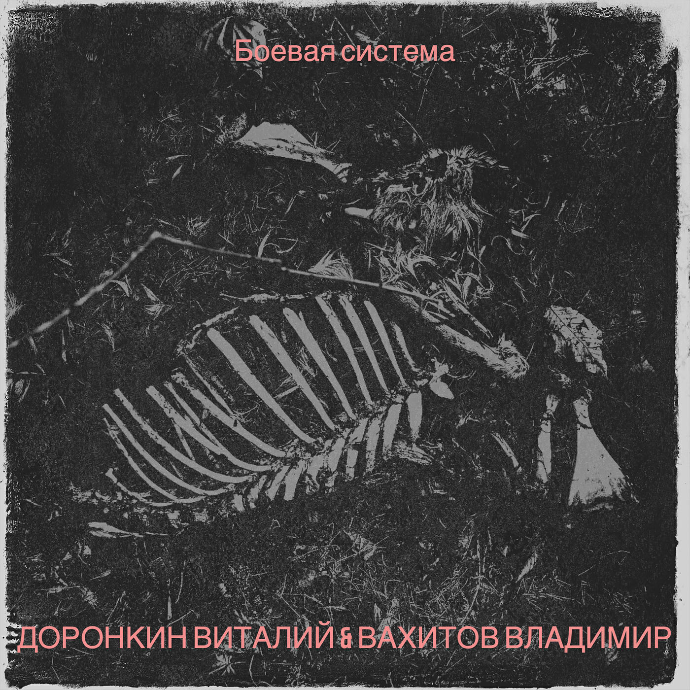 Релиз Боевая система