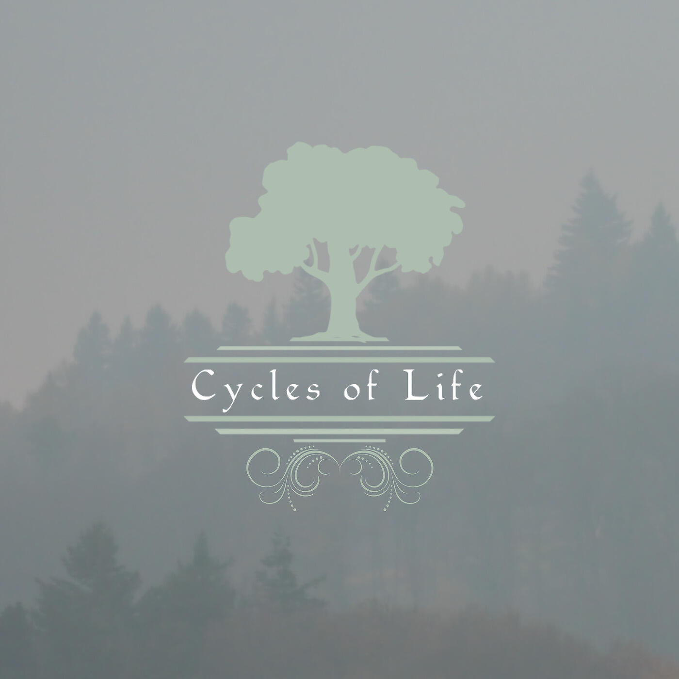 Релиз Cycles of Life (Live)