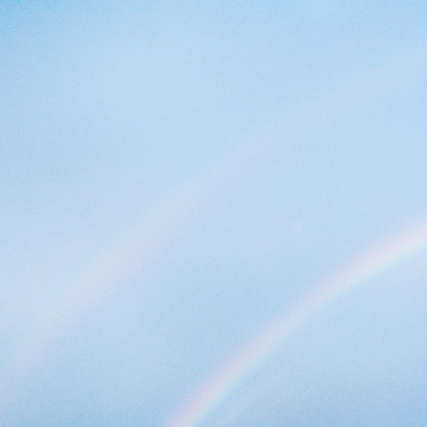 Релиз SEEIN’ STARS / BIRDS