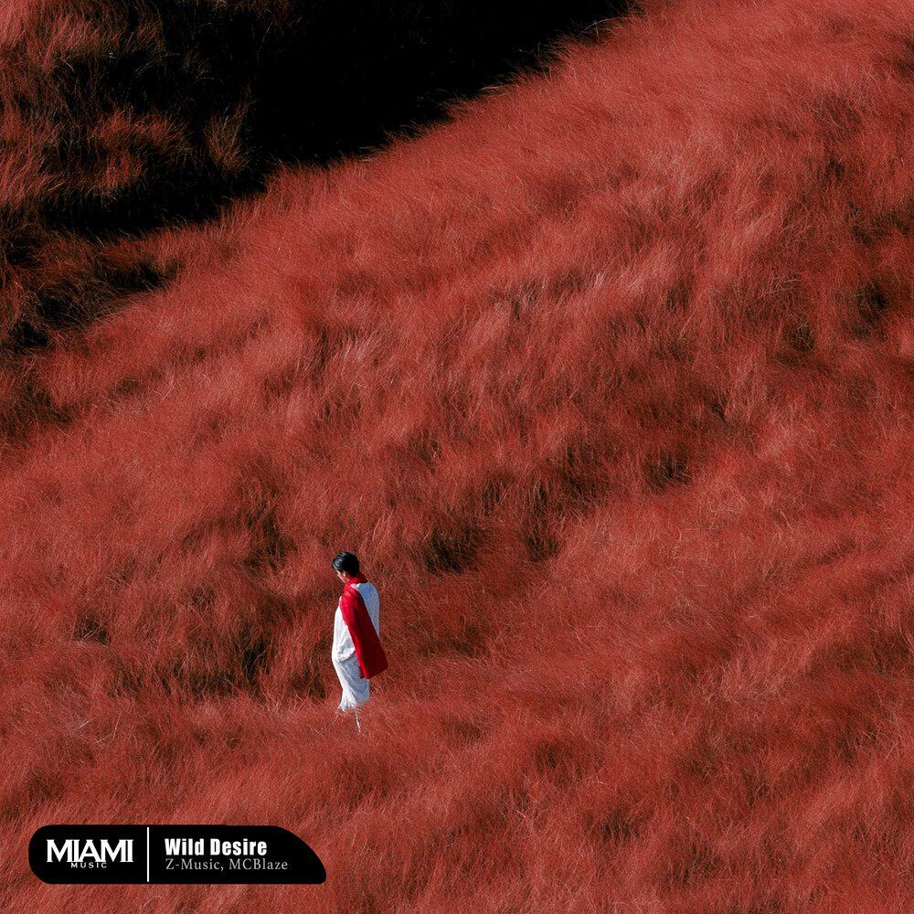 Релиз Wild Desire