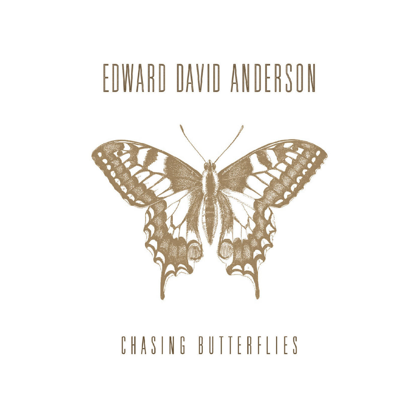 Релиз Chasing Butterflies