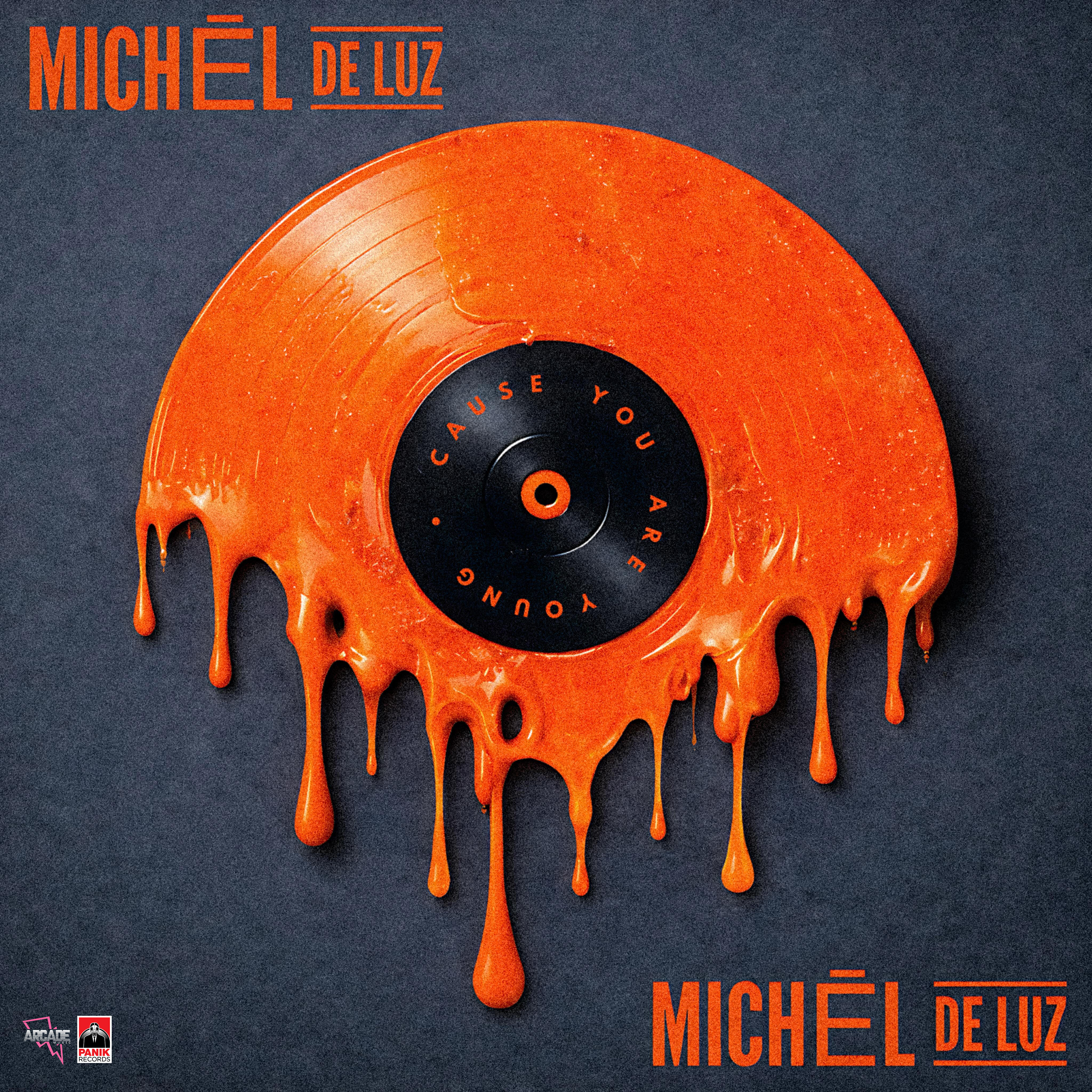 Michel de Luz