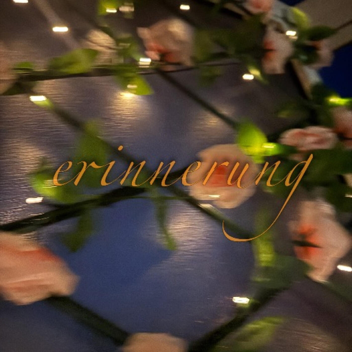 Релиз Erinnerung