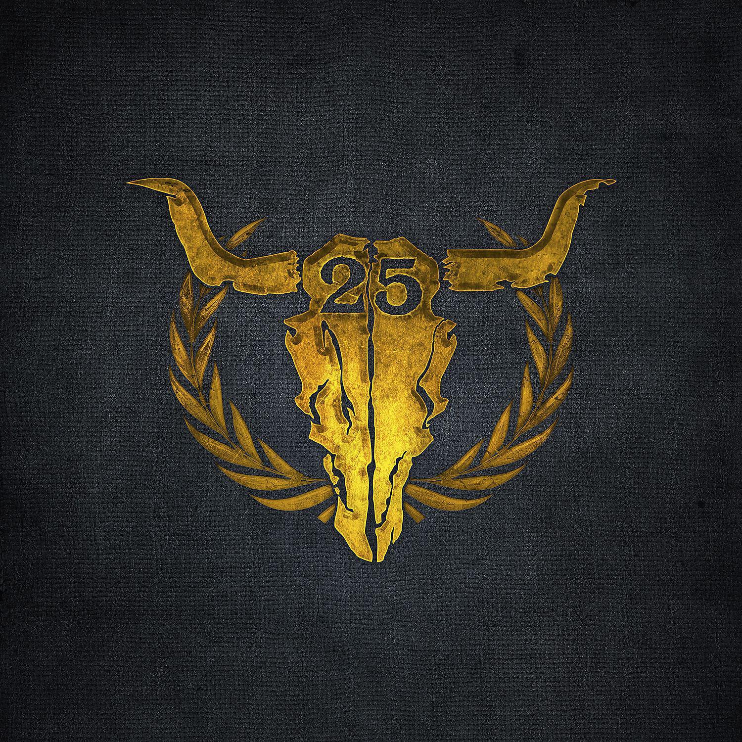 Постер альбома 25 Years of Wacken (Live At Wacken 2014)