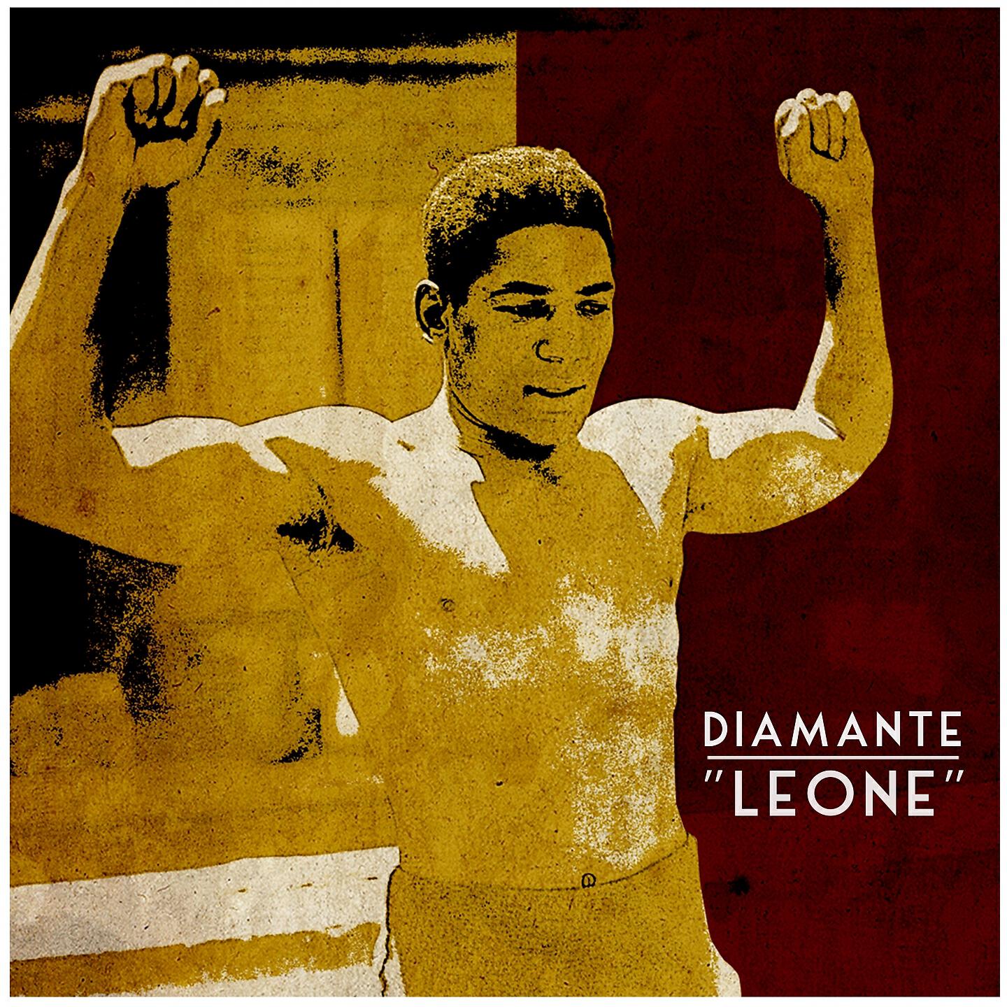 Постер альбома Leone
