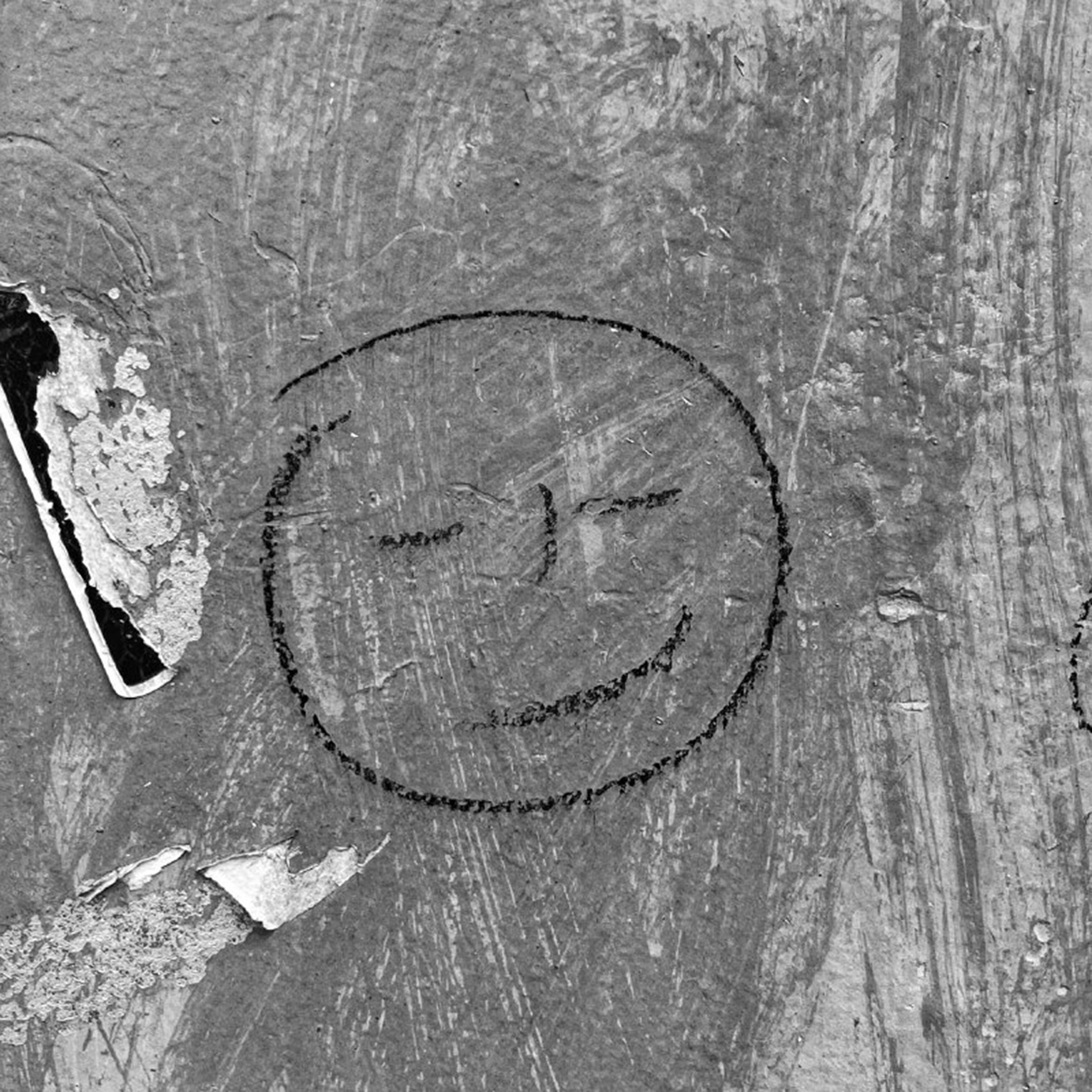 Релиз Tüsınıksız Oilar