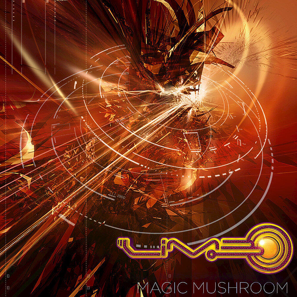 Постер альбома Magic Mushroom