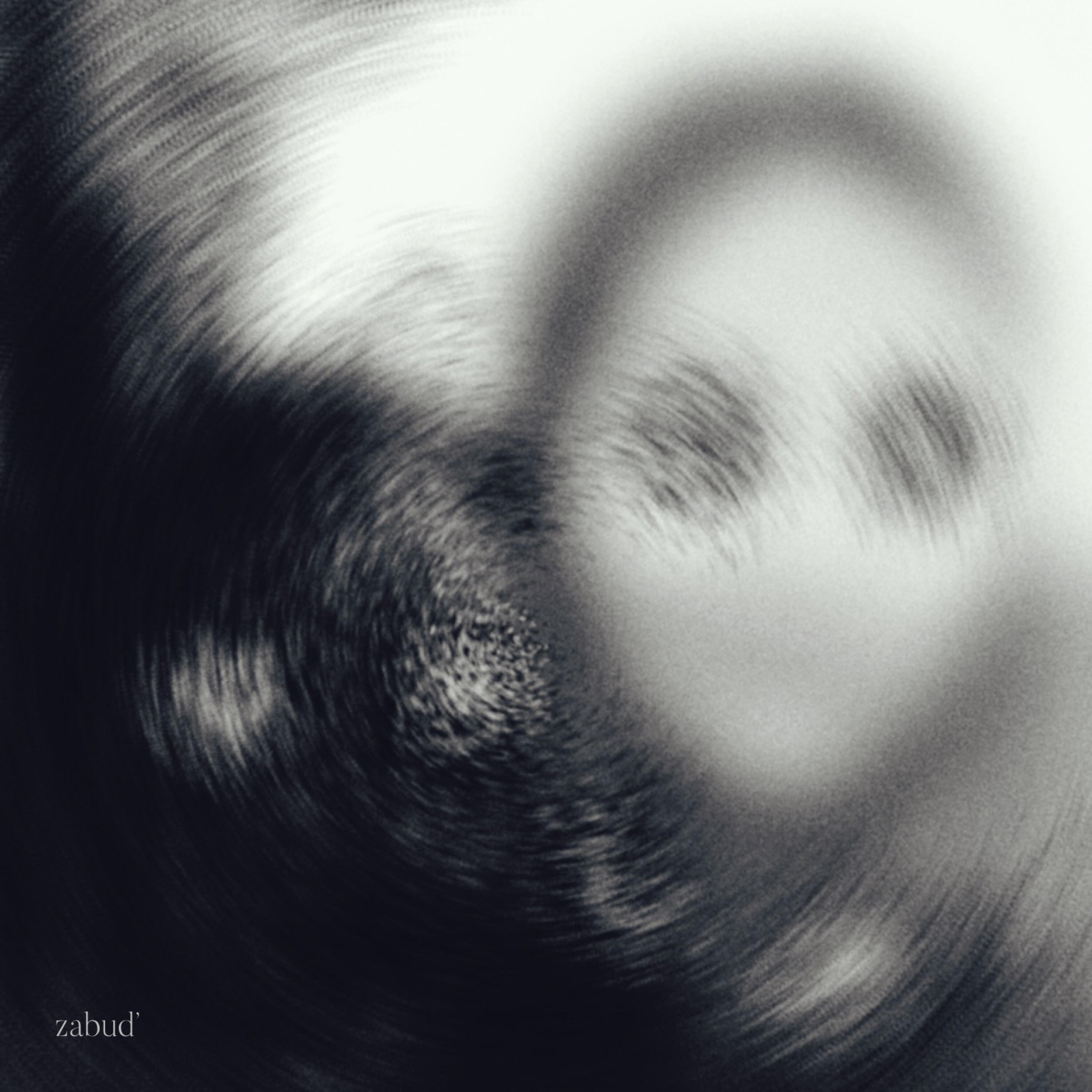 Релиз zabud'