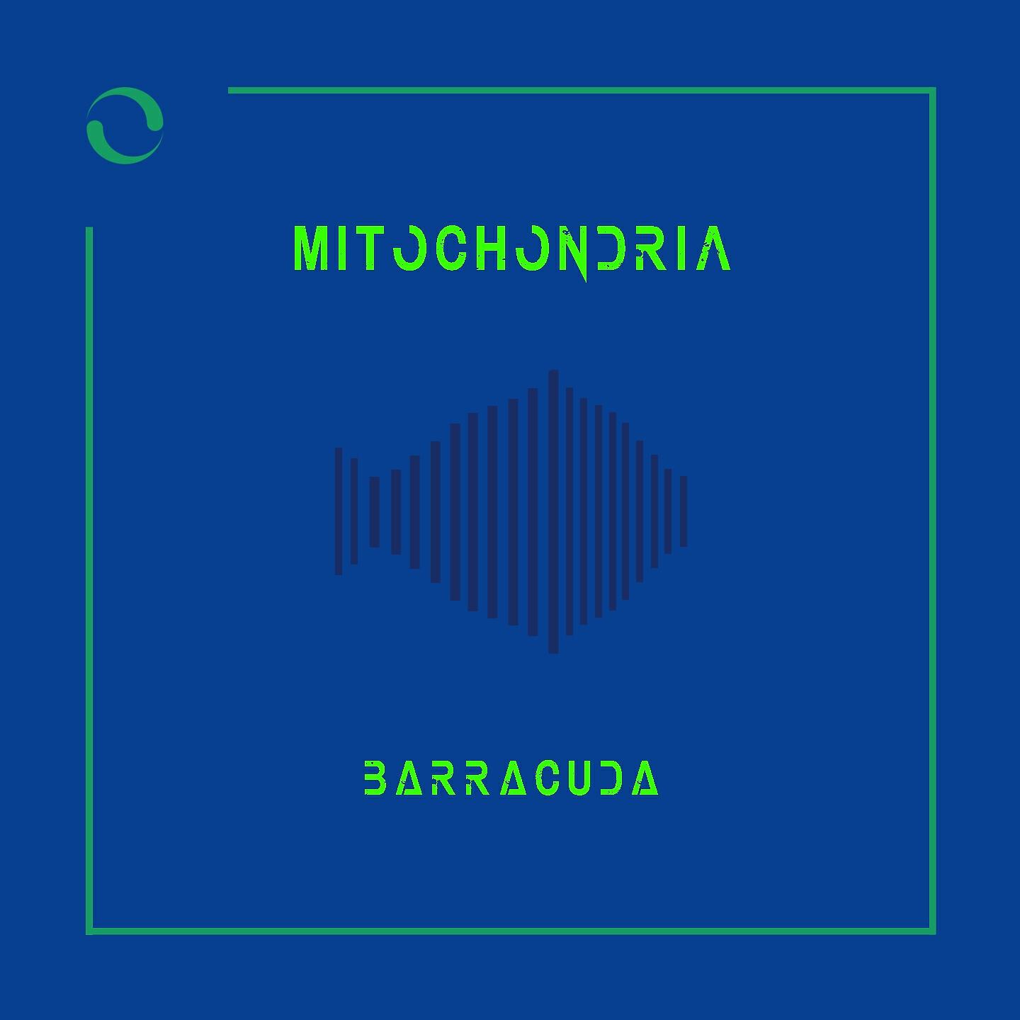 Mitochondria