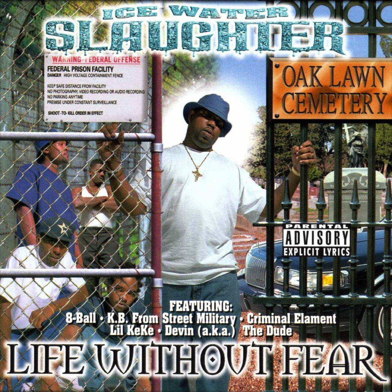 Релиз Life Without Fear