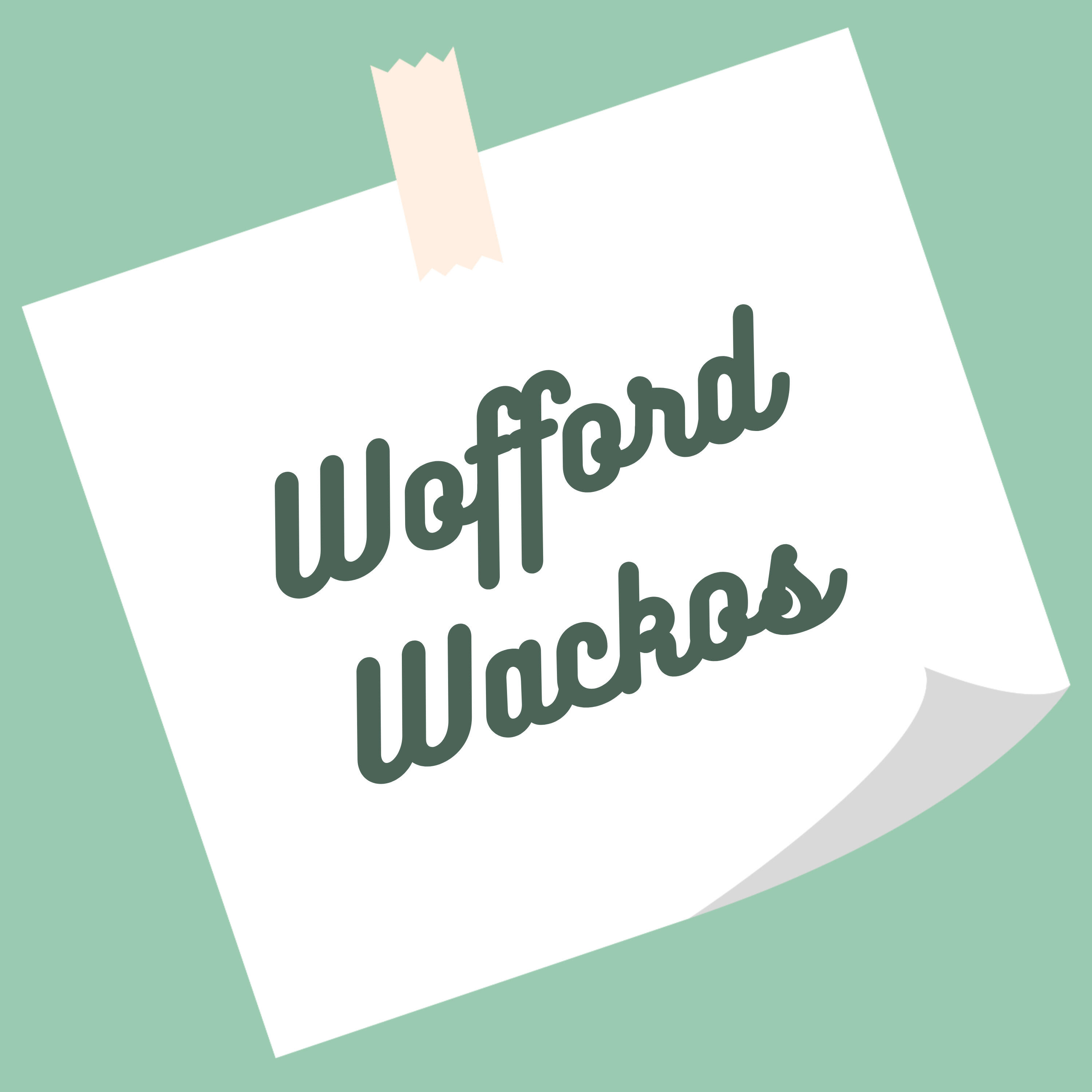 Релиз Wofford Wackos