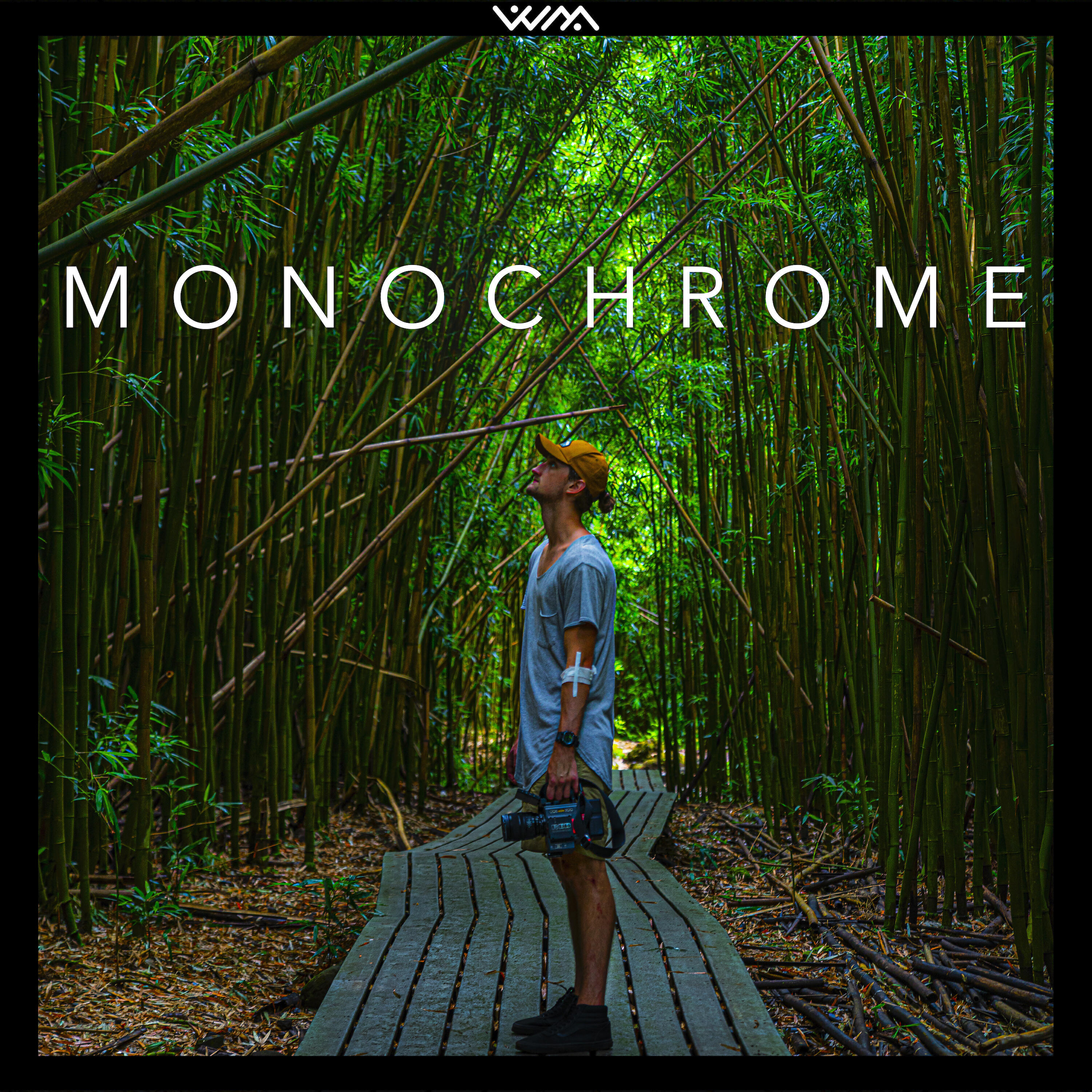 Релиз Monochrome