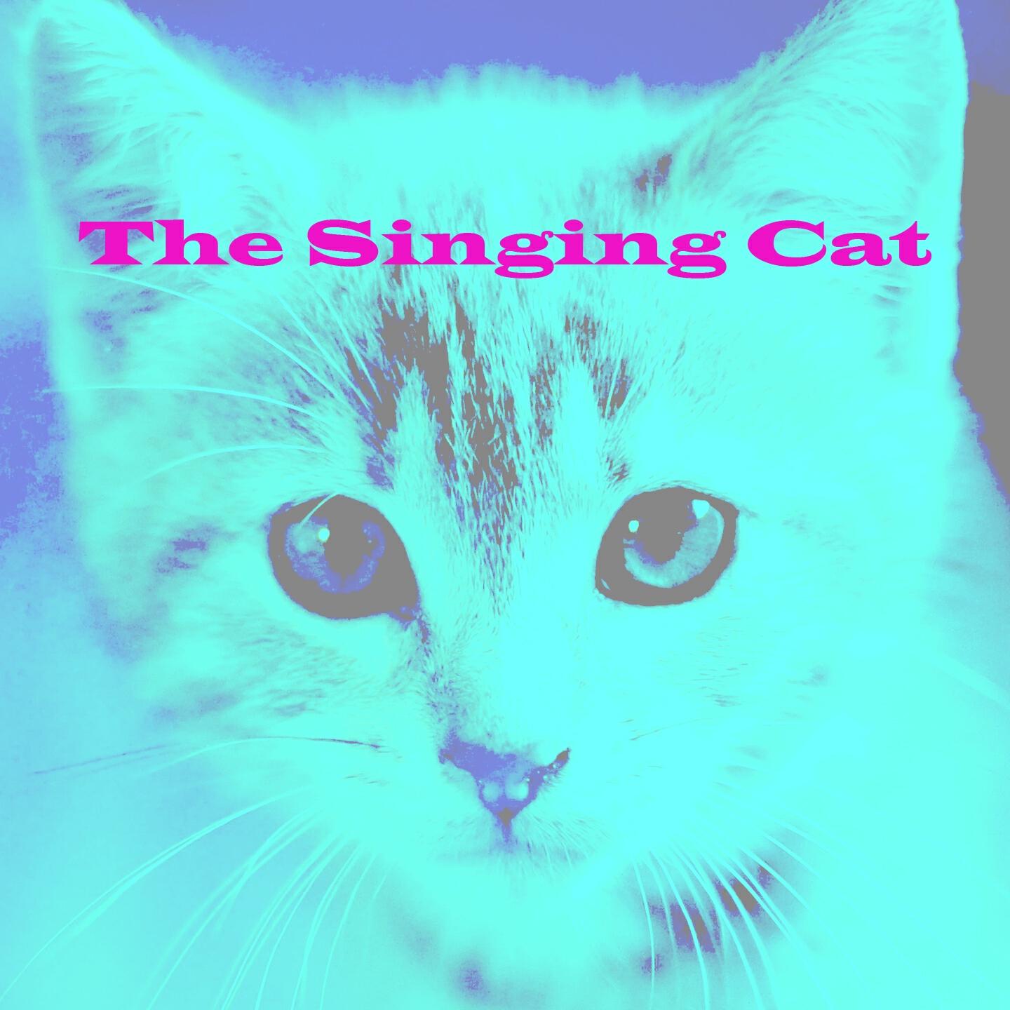 Релиз The Singing Cat