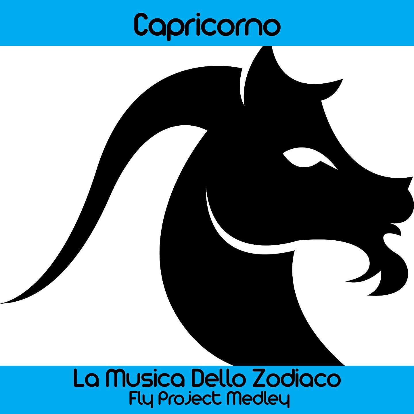 Постер альбома Zodiaco, capricorno medley: algedi / Oroscopo capricorno / Nashira / Orsum / Dabih / Armus / Okul / Kastra / Delta cap / Seagull / Alpha 2 / Caratteristiche capricorno / Canis minor / Carina / Bos / Alshat