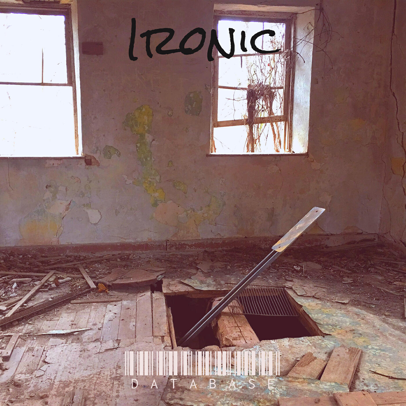 Релиз Ironic