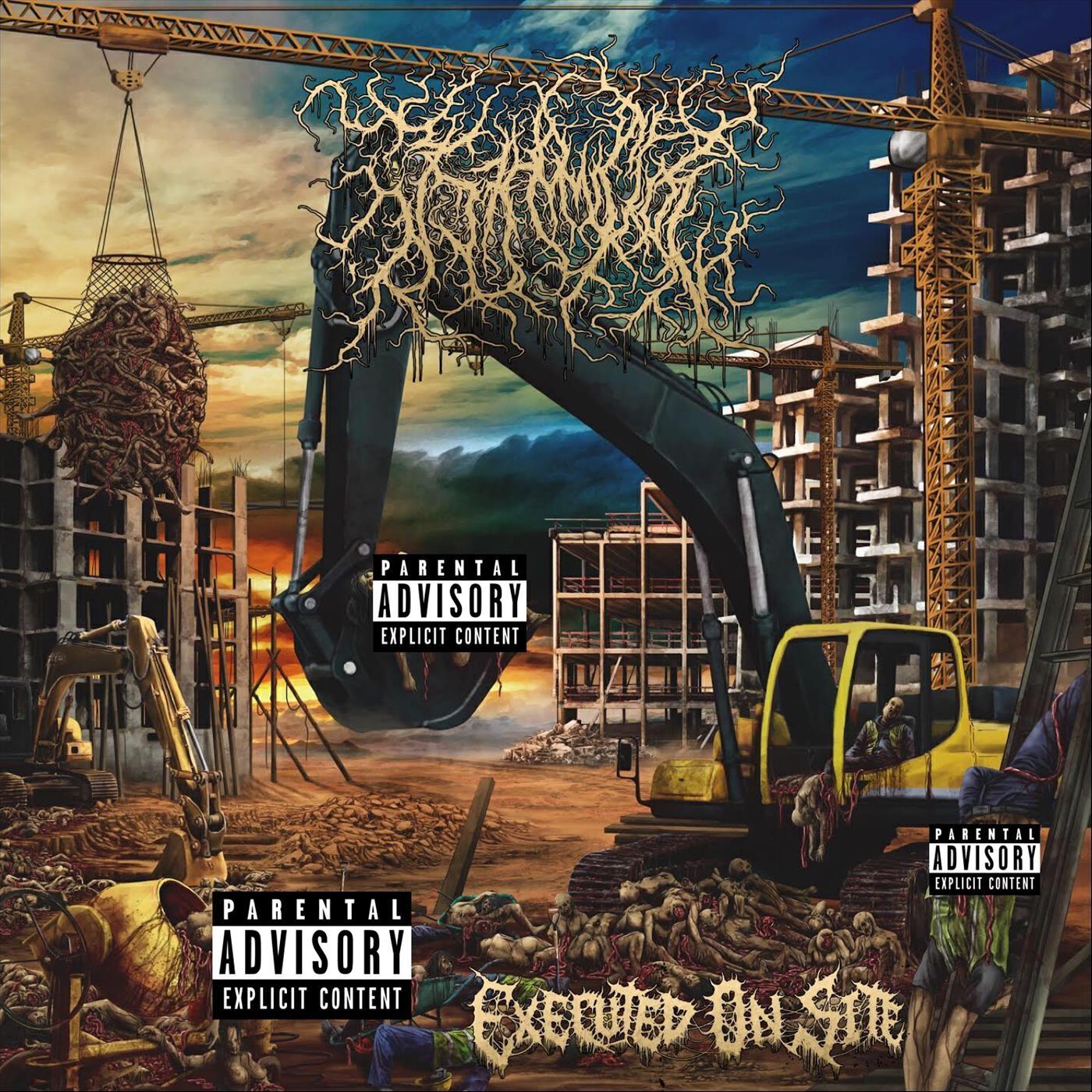 Релиз Executed on Site