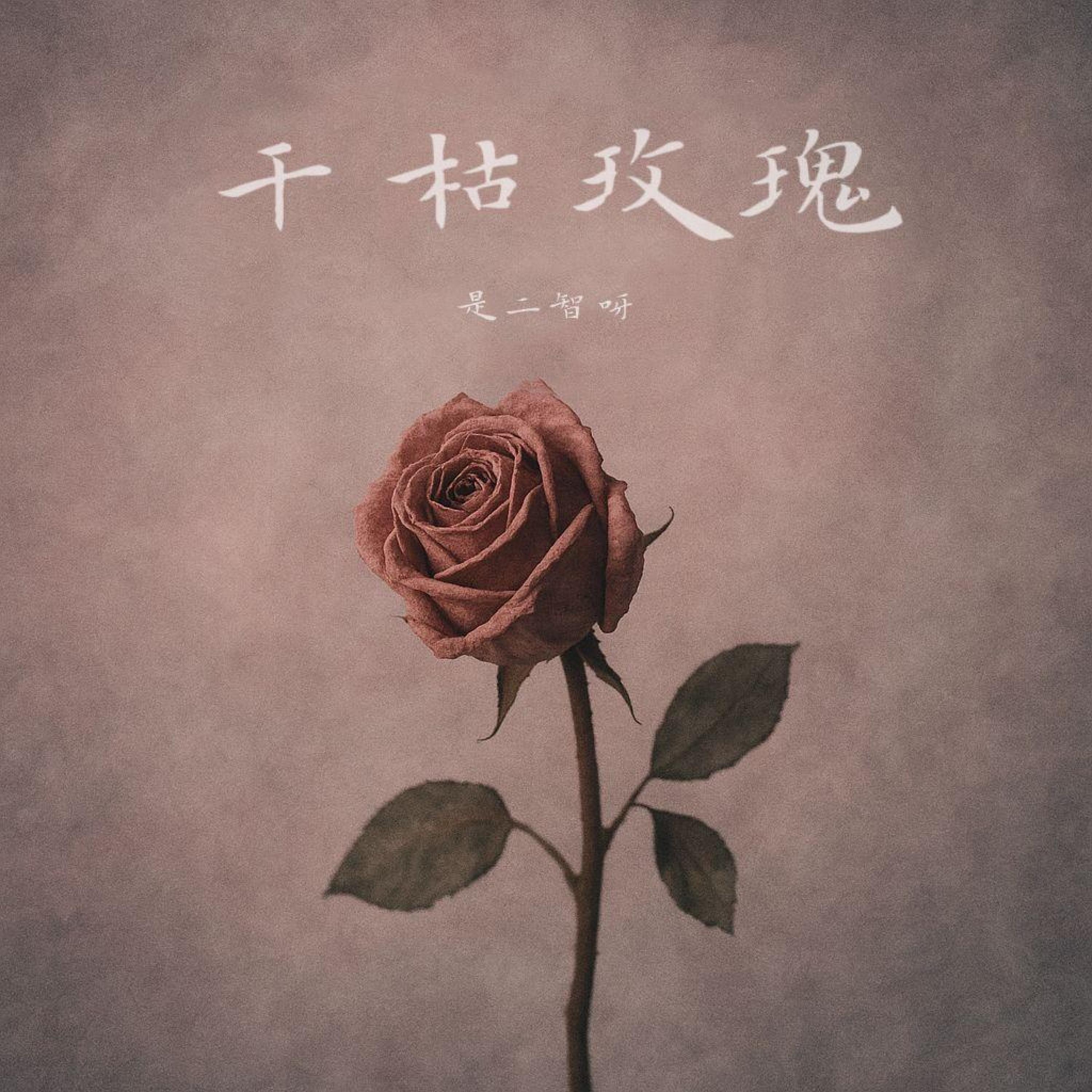 Релиз 干枯玫瑰