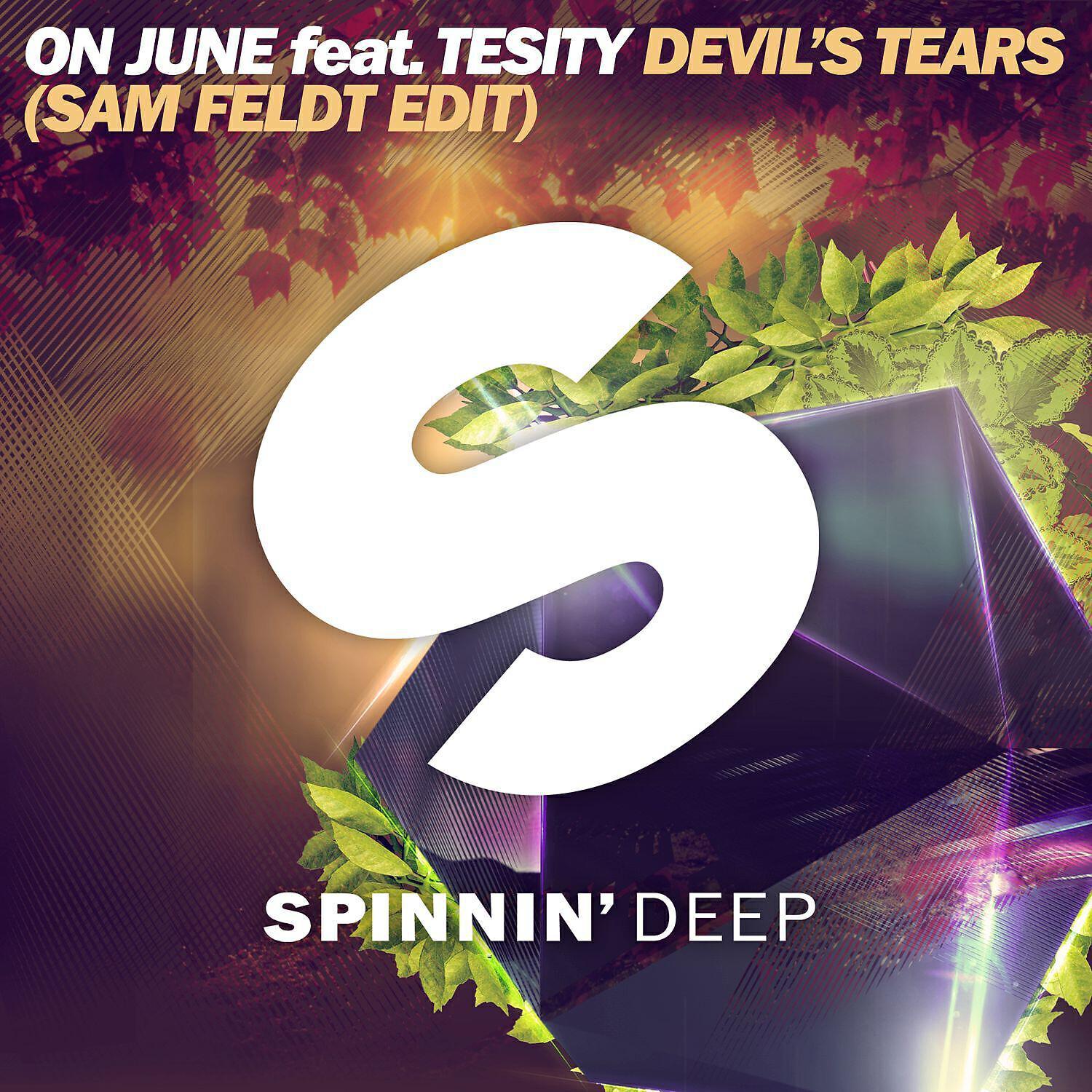 Tesity