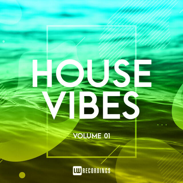 Релиз House Vibes, Vol. 01